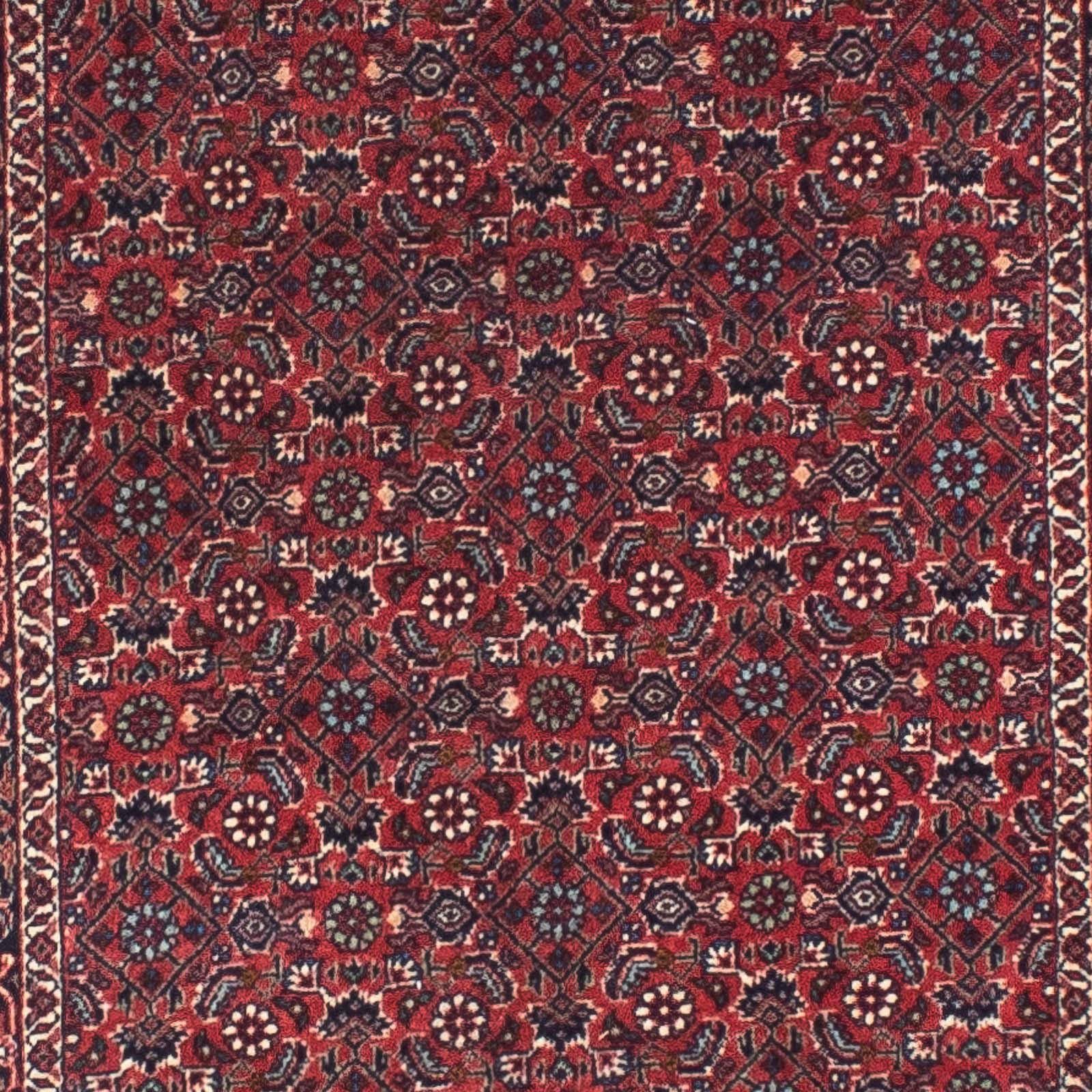 Medaillon mit morgenland, Zertifikat Hochflor-Läufer 78 cm, Höhe: x mm, Unikat rechteckig, 15 Bidjar 282