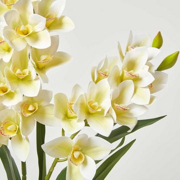 Kunstorchidee Künstliche weiß-grüne Orchidee im dunkelgrauen Zement-Topf, 82 cm, Homescapes, Höhe 82 cm