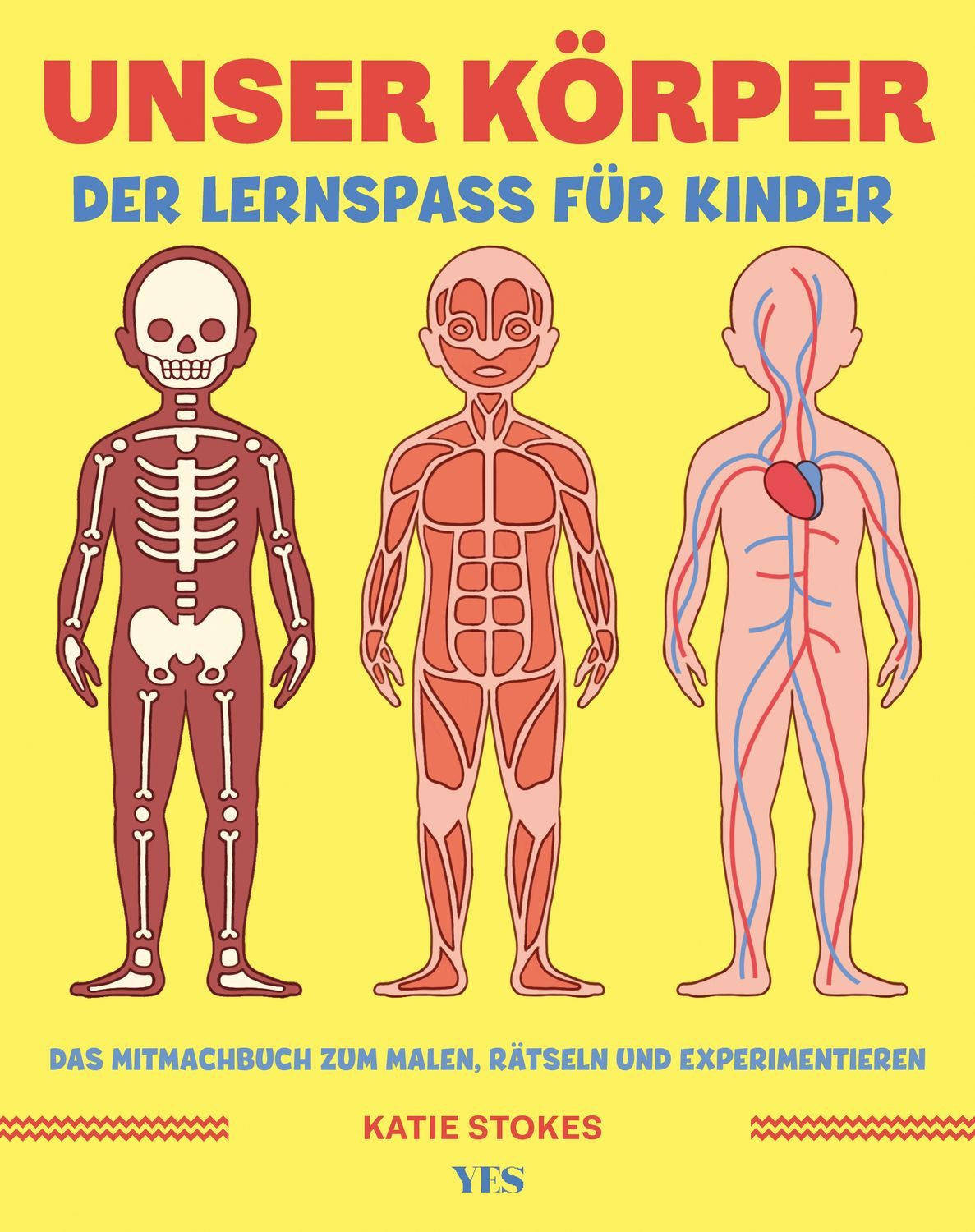 Unser Körper / Katie Stokes