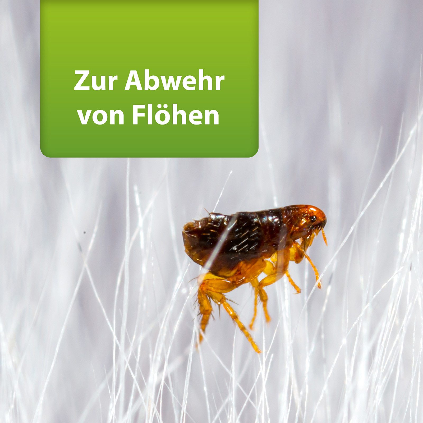 Ardap Insektenspray ARDAP Repell Flohspray 400 ml