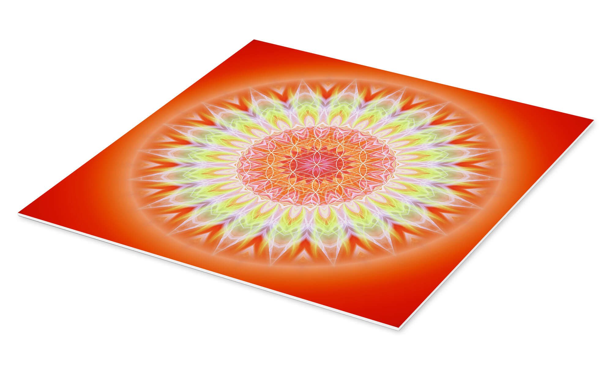 Posterlounge Forex-Bild Christine Bässler, Mandala Gesundheit mit Blume