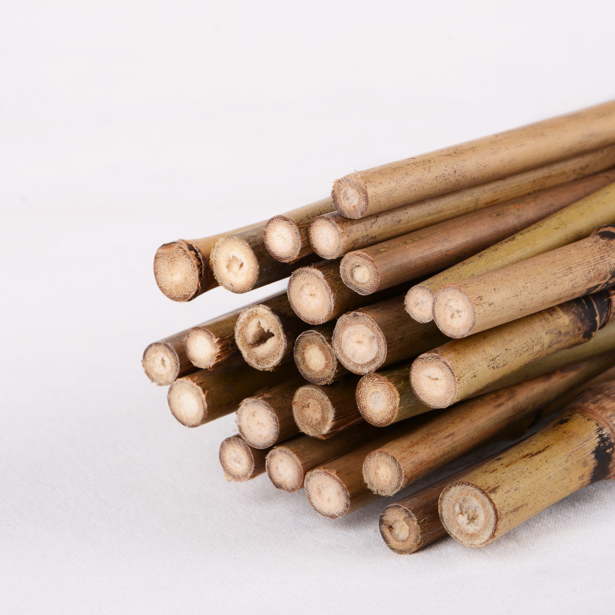 UNUS GARDEN Spalier Bambusstäbe Rankstäbe, Pflanzenstäbe Bambus, 25 St., 25 Stück, 105cm, natürliche Farbe, Pflanzenstütze, Bambusstangen Set Blumenstützen, Rob – Bild 4 von 5