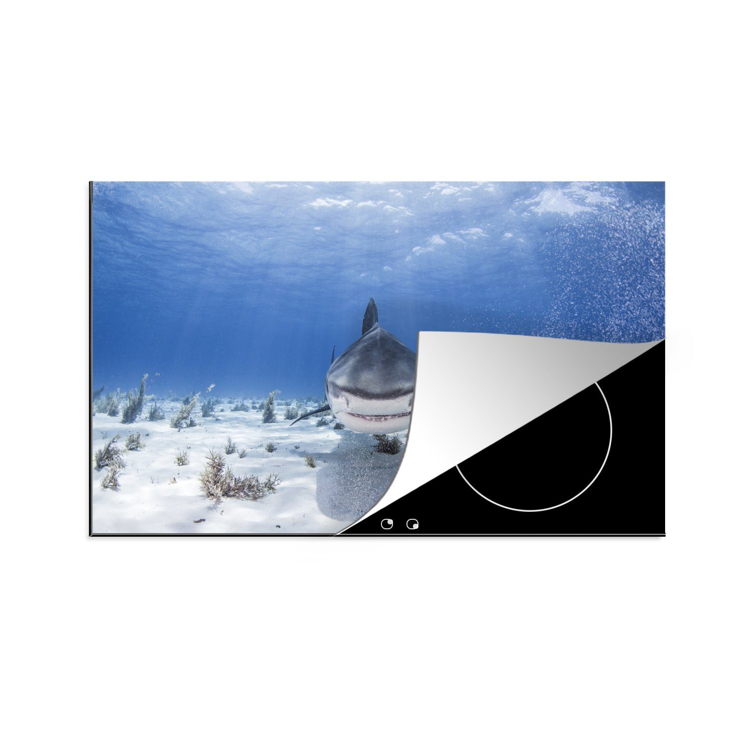 Ceranfeldabdeckung, (1 MuchoWow Hai, cm, küche Vinyl, tlg), Herdblende-/Abdeckplatte Arbeitsplatte 83x51 für Verschluckender