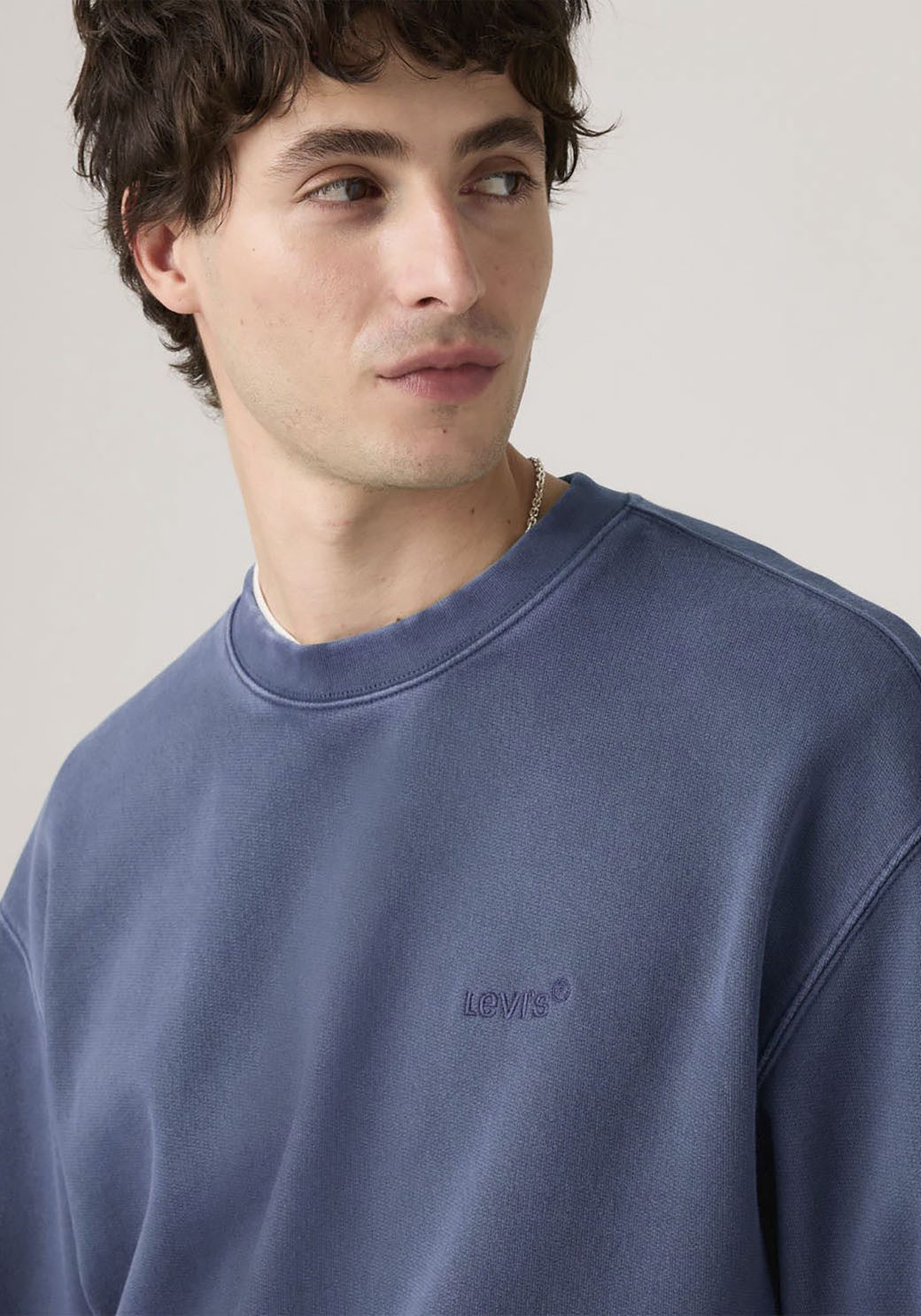 Levi's® Sweatshirt AUTHENTIC CREW mit Logostickerei