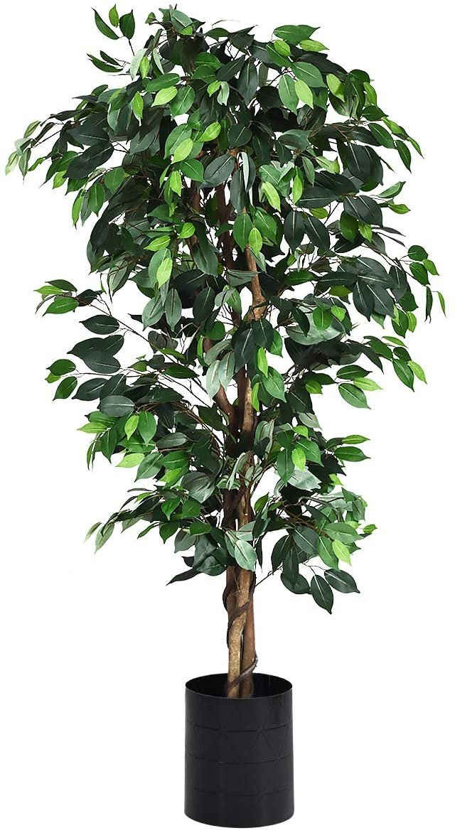 Kunstbaum »Zimmerpflanze Deko«, COSTWAY, Höhe 180 cm