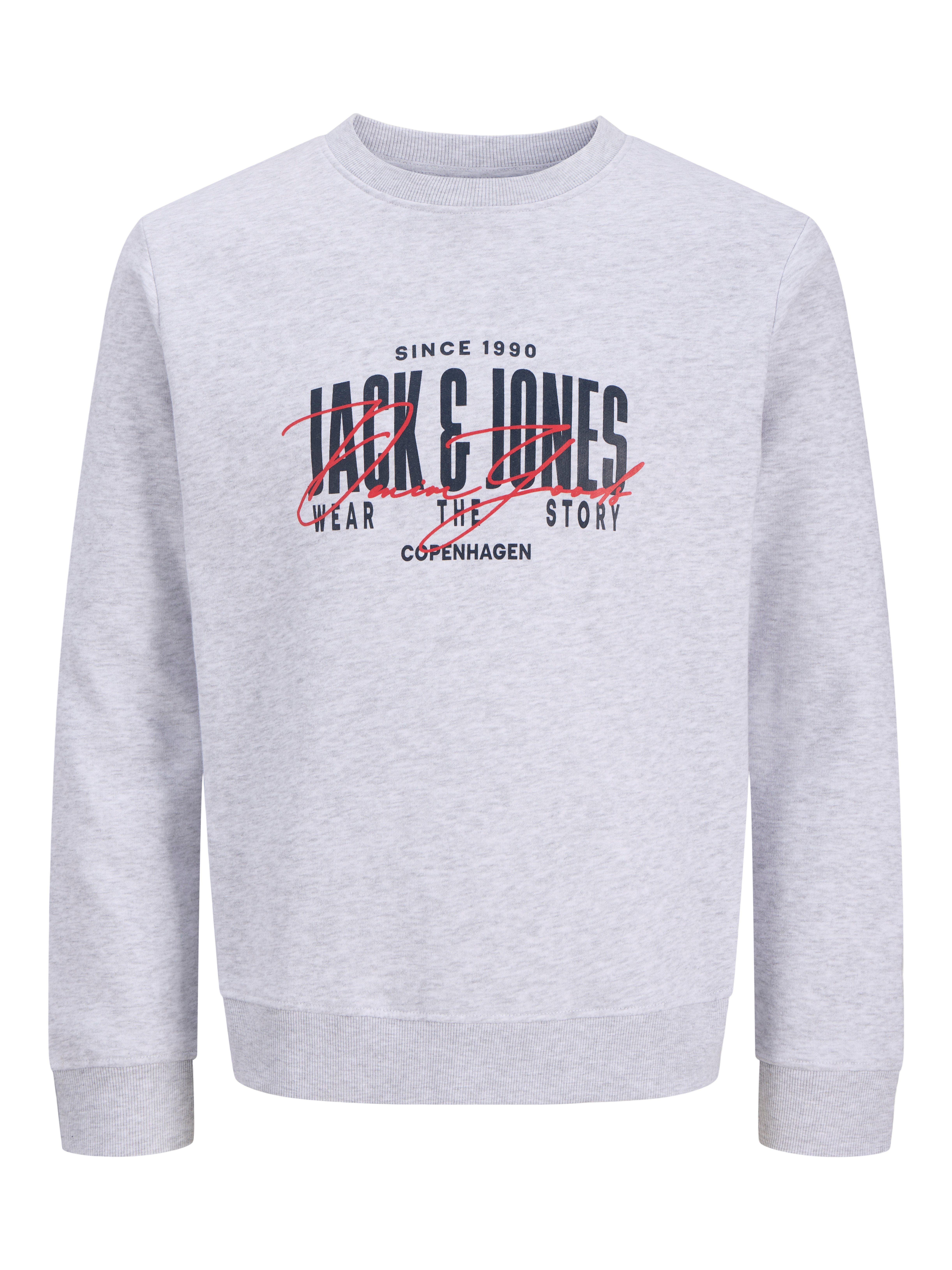 Jack & Jones Sweatshirt JJAERO SWEAT CREW NECK Materialmix, regular fit