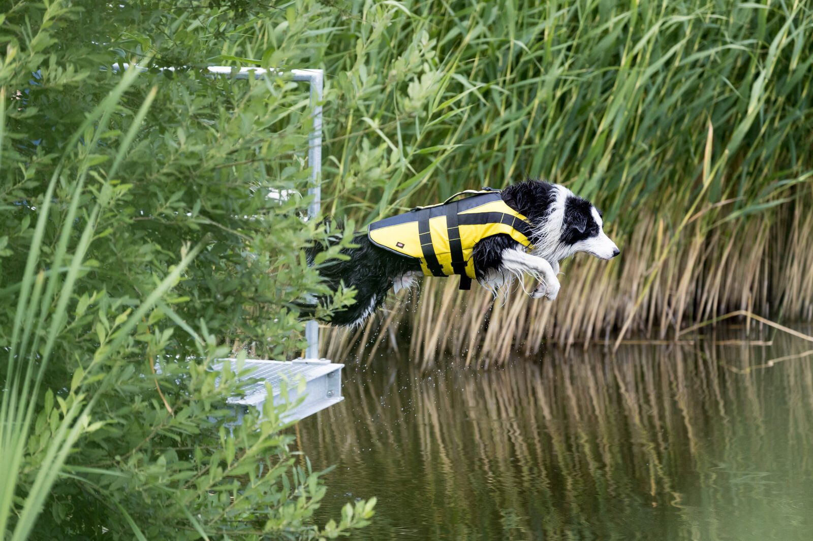TRIXIE Rettungsweste Schwimmweste für Hunde mit Reflektorstreifen und Bergegriff - gelb/sch