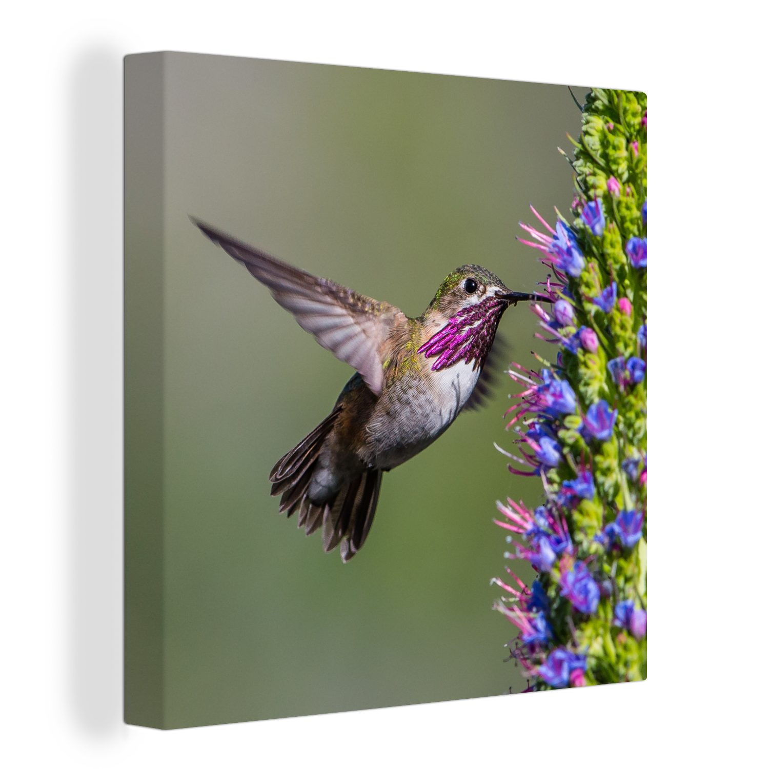 OneMillionCanvasses® Leinwandbild Kolibri - Pflanze - Lila, (1 St), Leinwand Bilder für Wohnzimmer Schlafzimmer