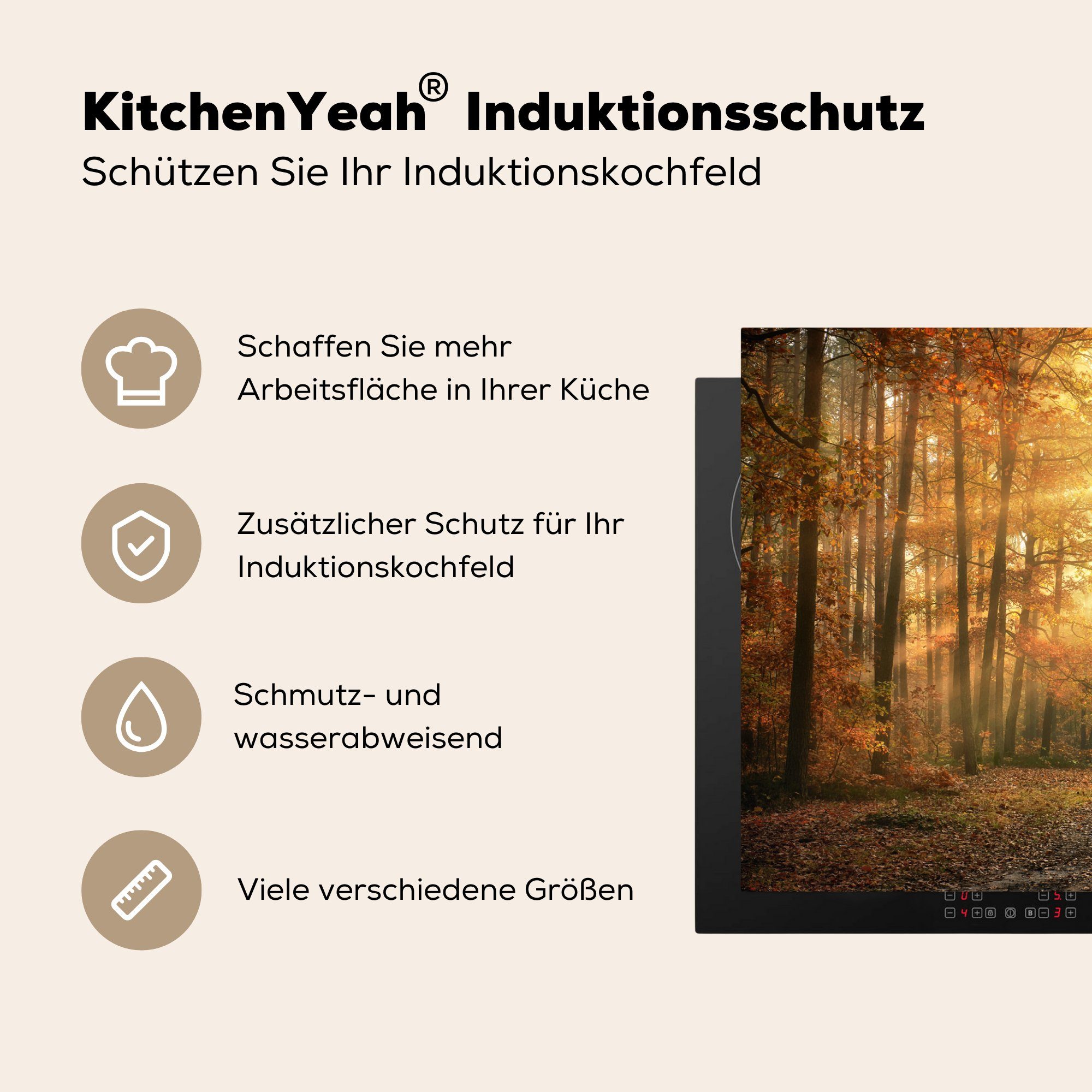 MuchoWow Herdblende-/Abdeckplatte Ceranfeldabdeckung, Bäume - - Laub, cm, - Herbst Vinyl, Landschaft (1 77x51 - Arbeitsplatte Sonne tlg), - für Wald küche - Natur