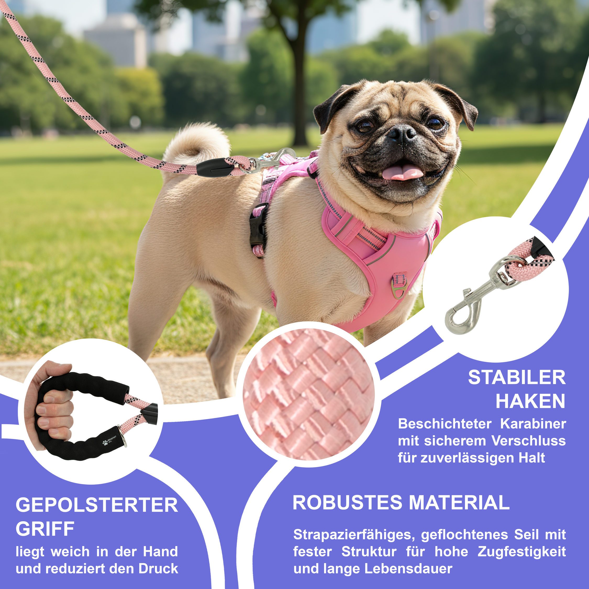 Reichstadt Hundeleine RS Pets Führleine Nylon 25RSP084, Nylon, Ergonomischer EVA-gepolsterter Griff für Blasenschutz