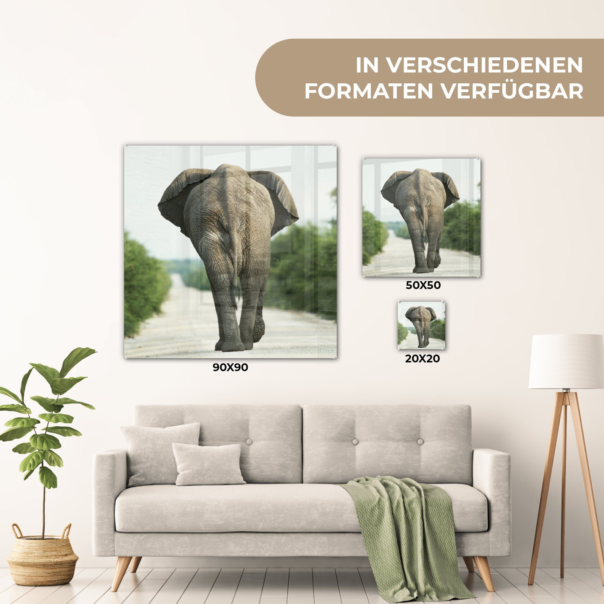 MuchoWow Acrylglasbild Elefant - Kröte - Foto - - Tiere - auf Wanddekoration Bilder Glas auf St), - Natur, Wandbild Glas (1 Glasbilder