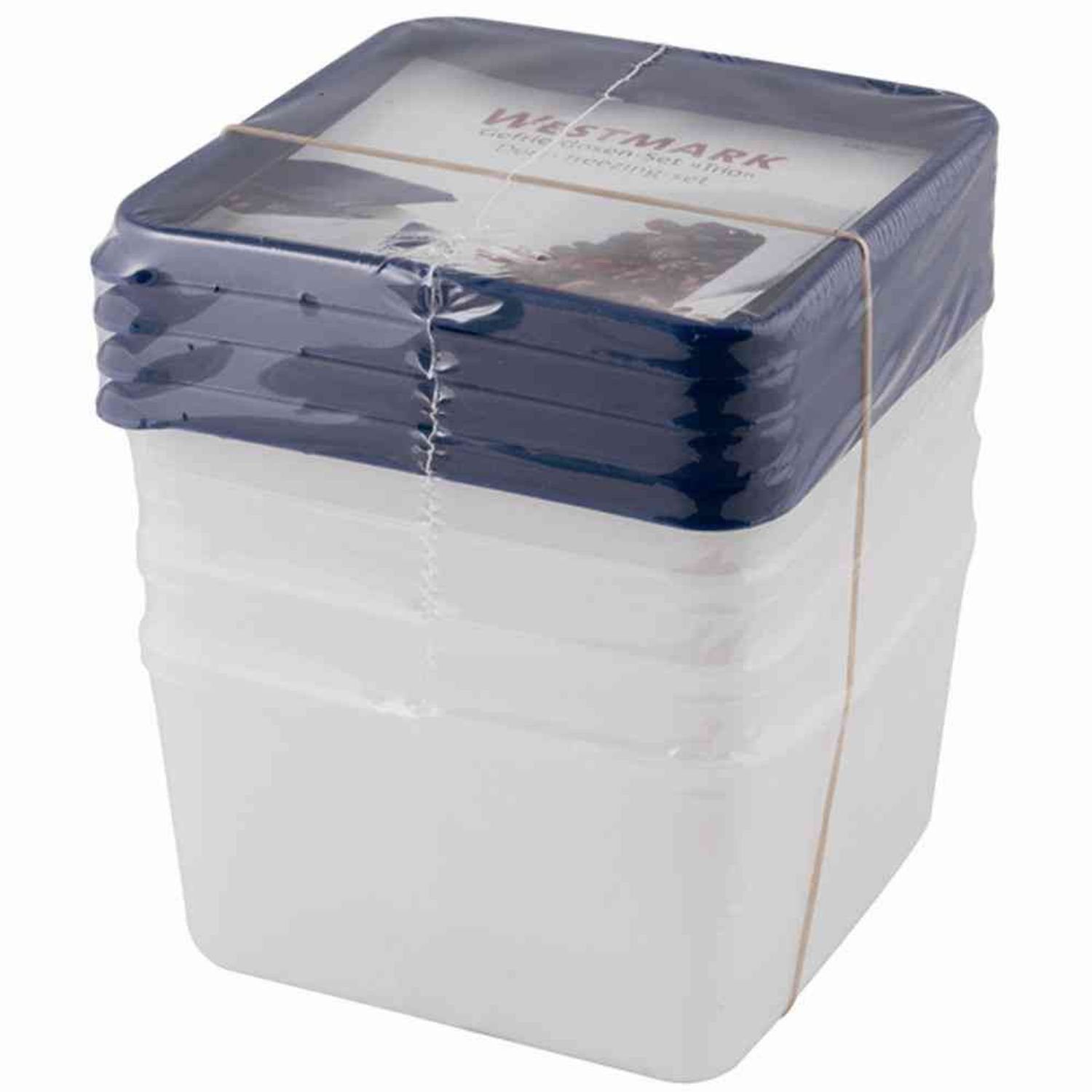 Teedose Gefrierdose "Trio" 0,50 l, 4er-Set