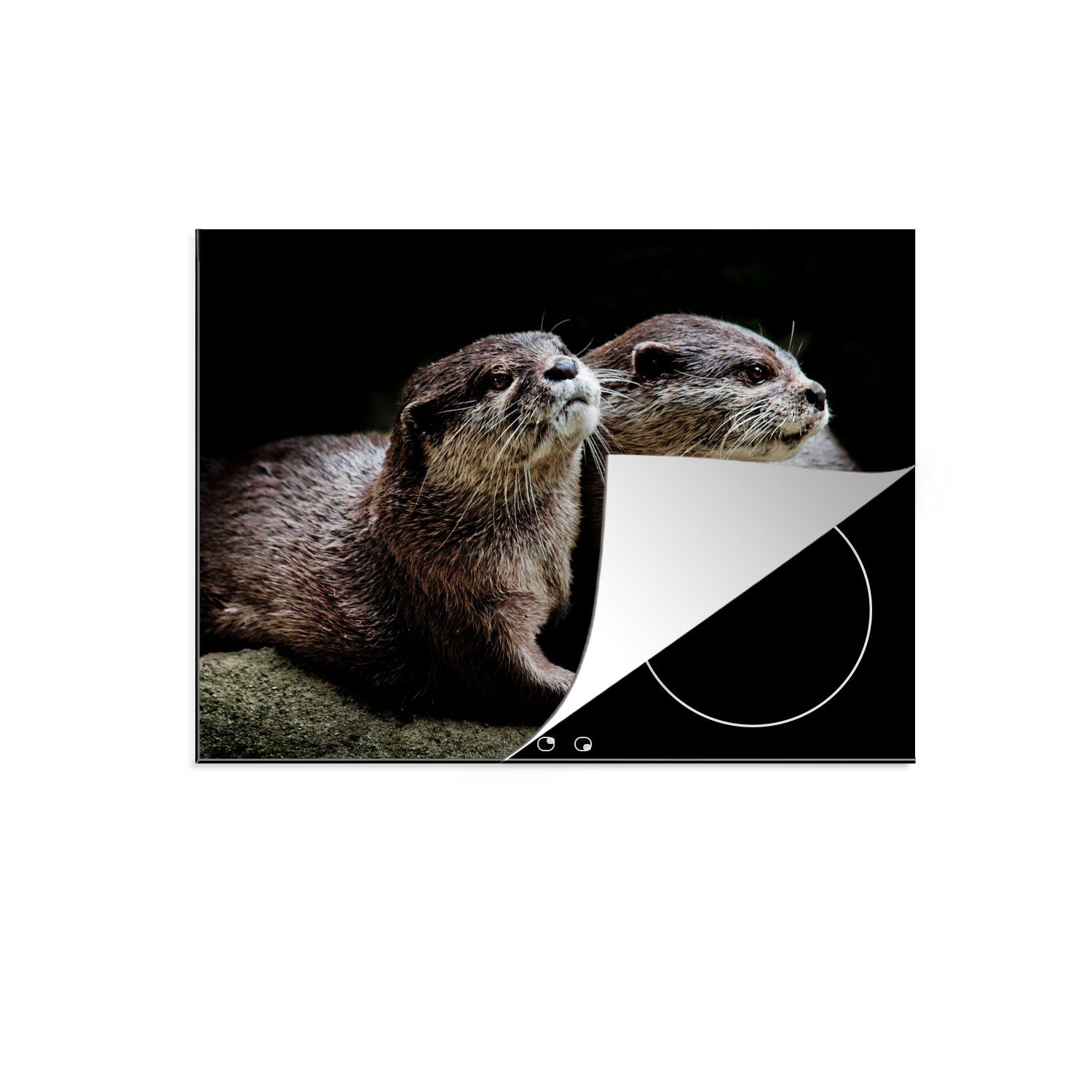 MuchoWow Herdblende-/Abdeckplatte Otter halten sich gegenseitig, Vinyl, (1 tlg), 70x52 cm, Mobile Arbeitsfläche nutzbar, Ceranfeldabdeckung