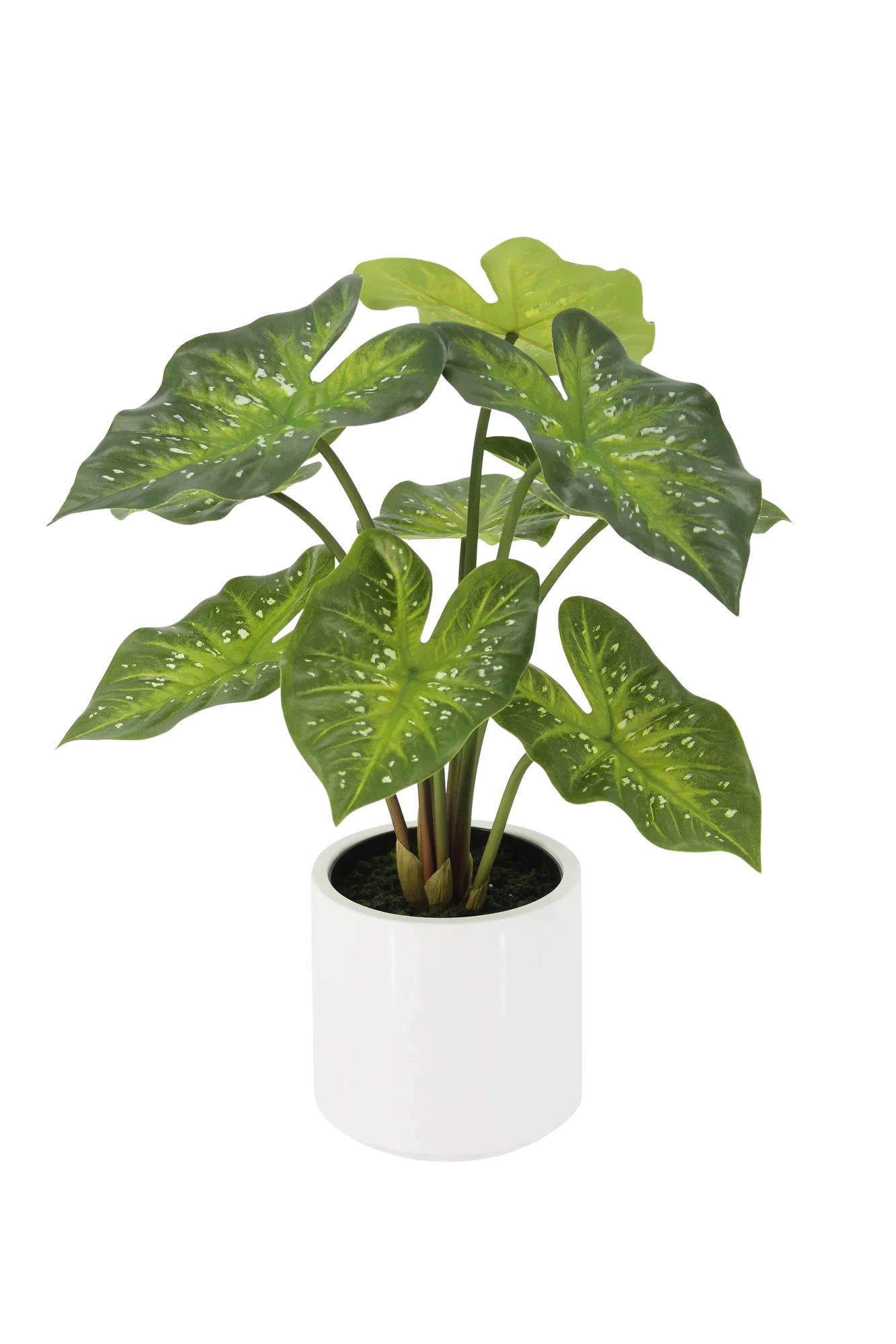 Kunstpflanze Knstliche Caladium - Tiara, 60 cm, aplanta, knstliche  Pflanze, knstliche Zimmerpflanze