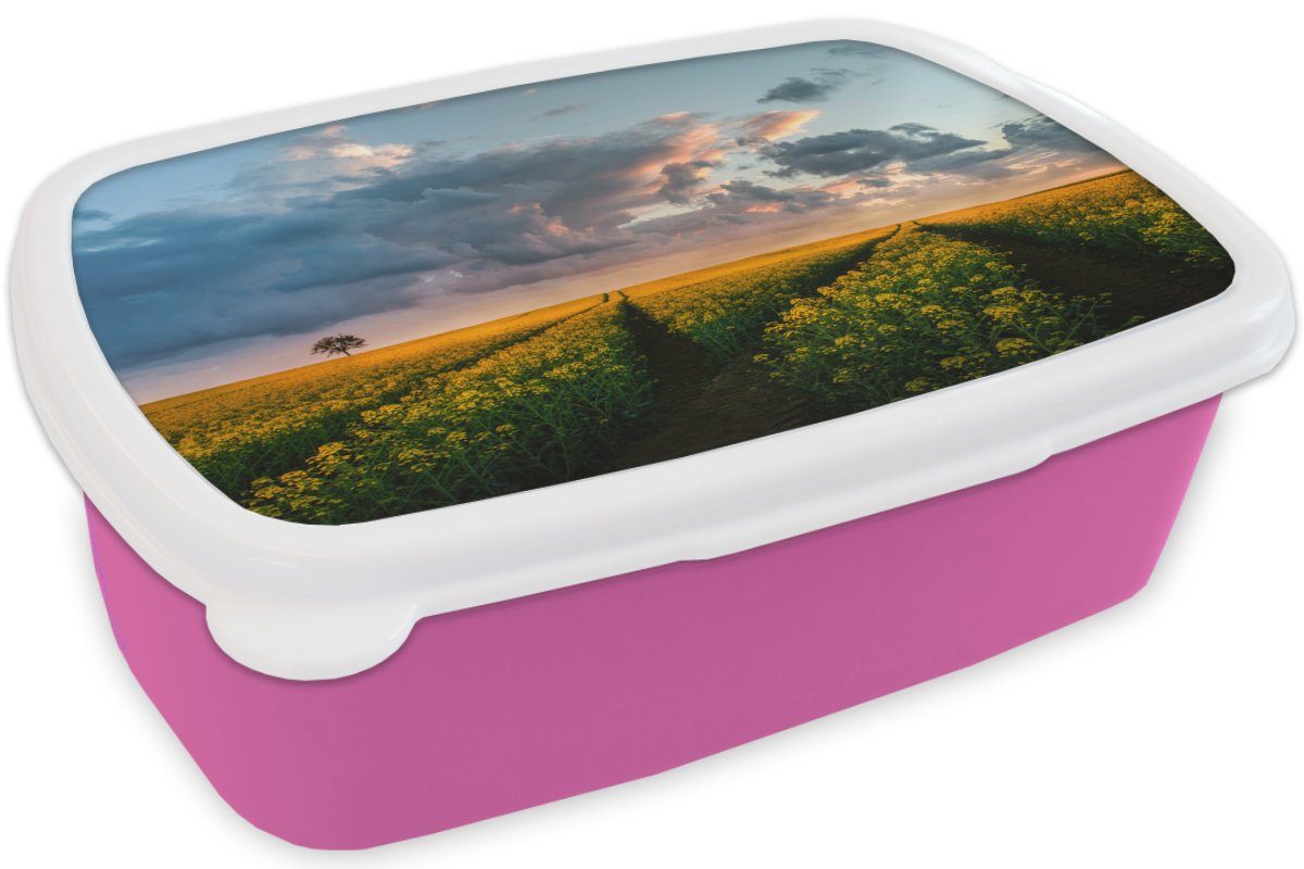 (2-tlg), für Kunststoff, Brotdose Brotbox - Kinder, MuchoWow Mädchen, Snackbox, - Blumen Erwachsene, Gelb Lunchbox Sonnenuntergang, Kunststoff rosa