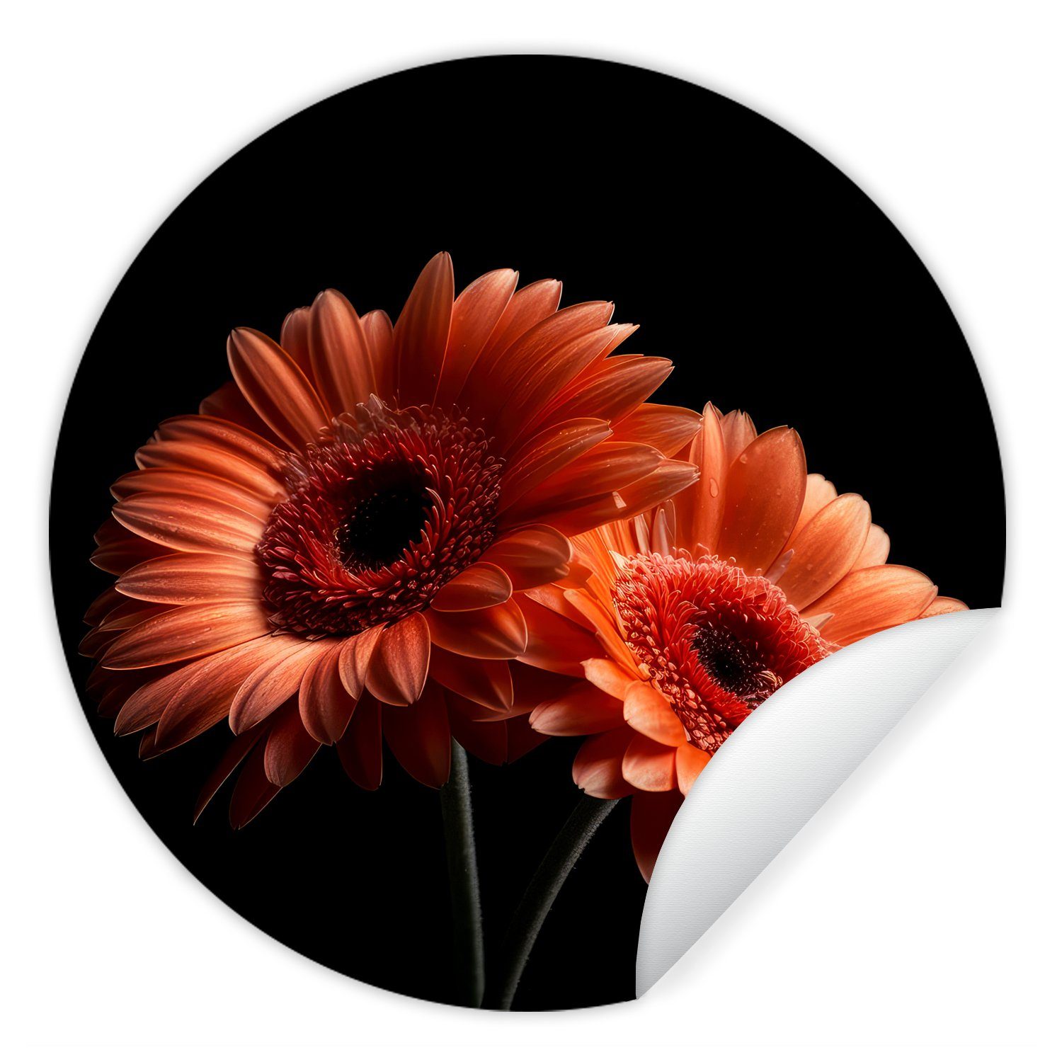 MuchoWow Wandsticker Blumen - Botanisch - Gerbera - Orange - Schwarz (1 St), Tapetenkreis für Kinderzimmer, Tapetenaufkleber, Rund, Wohnzimmer