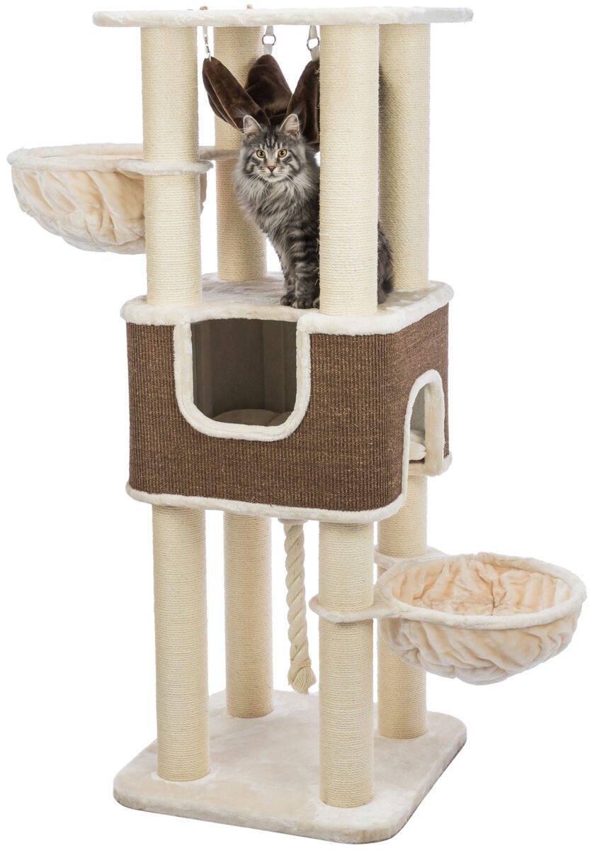 TRIXIE Kratzbaum Kratzbaum XXL Humberto - creme/dunkelbraun - 174 cm