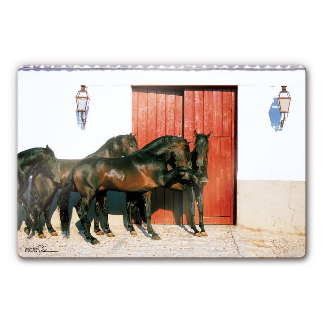 K&L Wall Art Gemälde Glasbild Boiselle Pferd Hengst Andalusierhengst Spanien, Glasposter Wohnzimmer modern