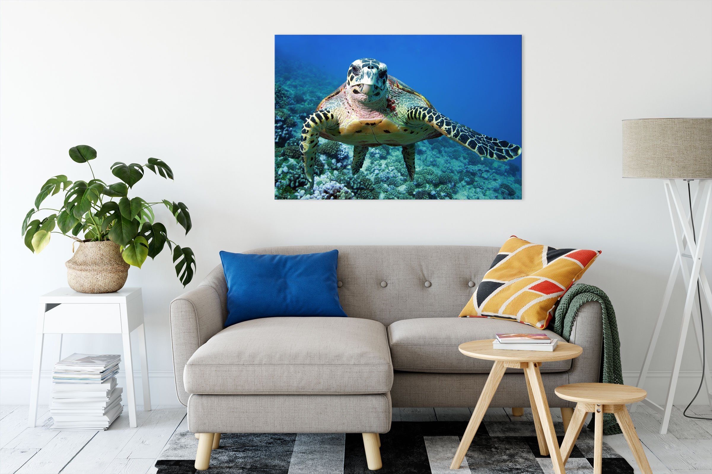 Pixxprint Leinwandbild Schildkröte Korallenriff Schildkröte inkl. (1 Zackenaufhänger Korallenriff, fertig St), Leinwandbild bespannt