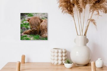 OneMillionCanvasses® Leinwandbild Schottischer Highlander - Heu - Gras, (1 St), Leinwand Bilder für Wohnzimmer Schlafzimmer