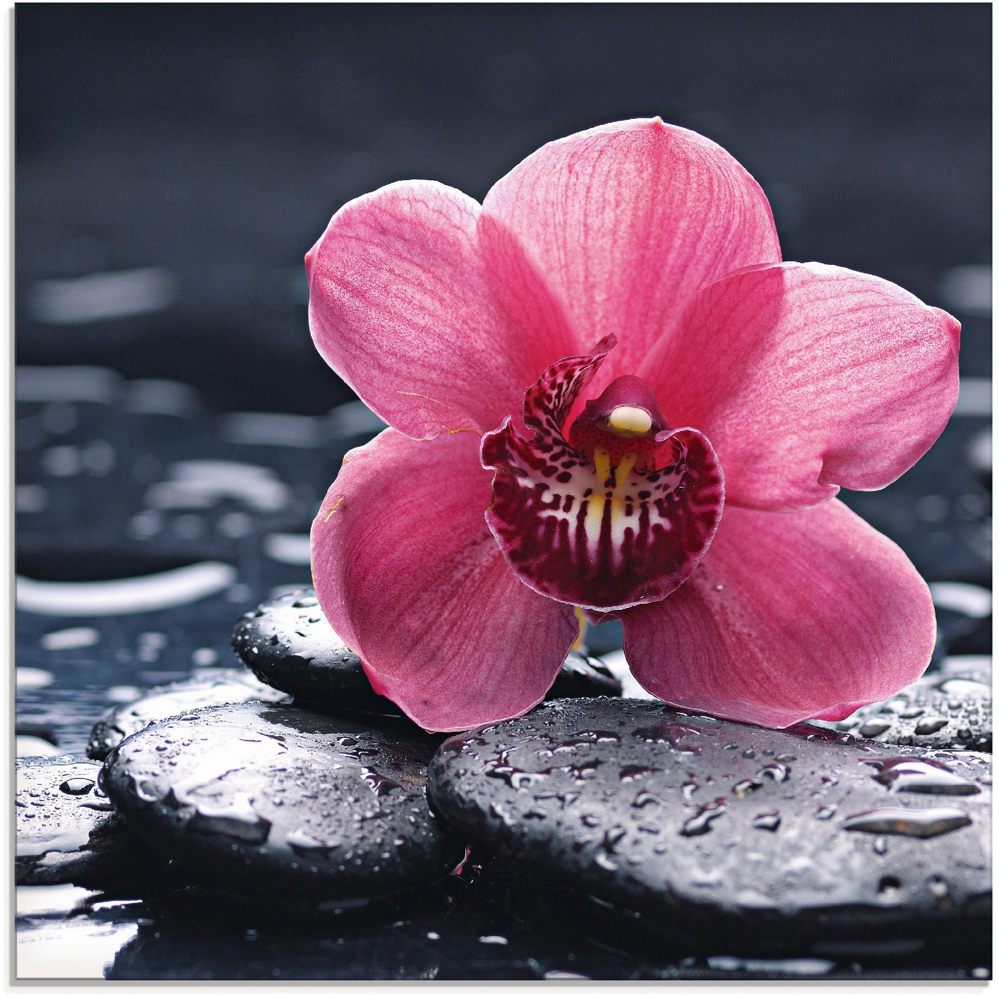 (1 Glasbild Blumen mit Kiesel Stillleben einer St), Größen Orchidee, verschiedenen Artland in und