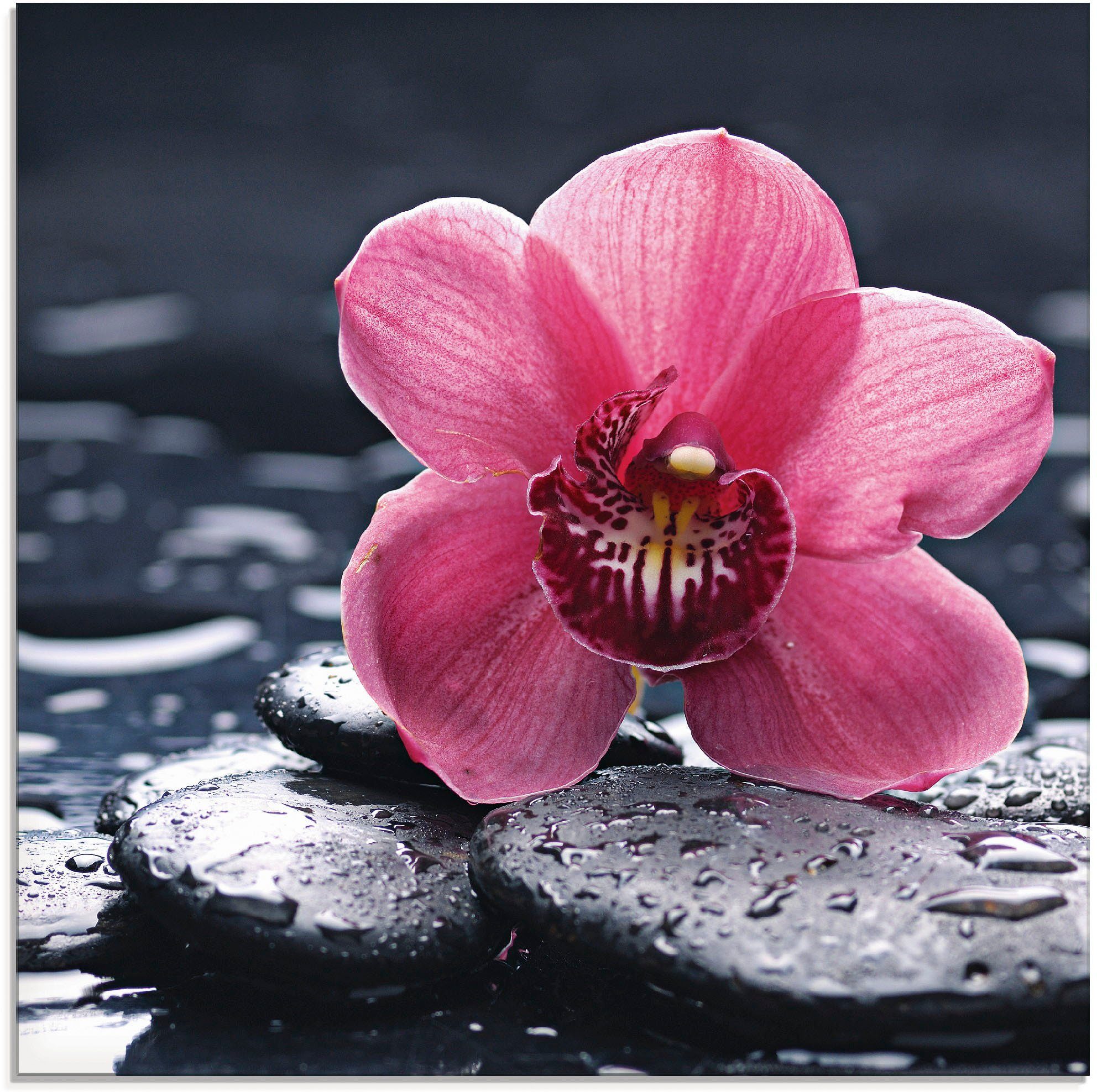 Artland Glasbild Stillleben mit Kiesel und einer Orchidee, Blumen (1 St), in verschiedenen Größen