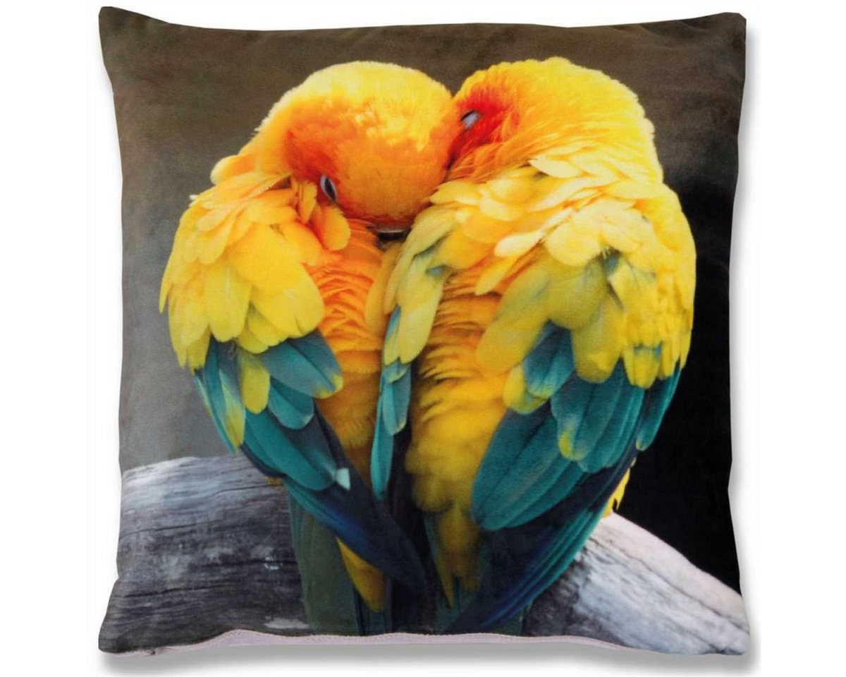 Bestlivings Kissenbezüge Dekokissen Hülle Samt, (1 Stück), Kissenhülle (40x40 cm) mit Fotodruck - Reißverschluss Dekoration