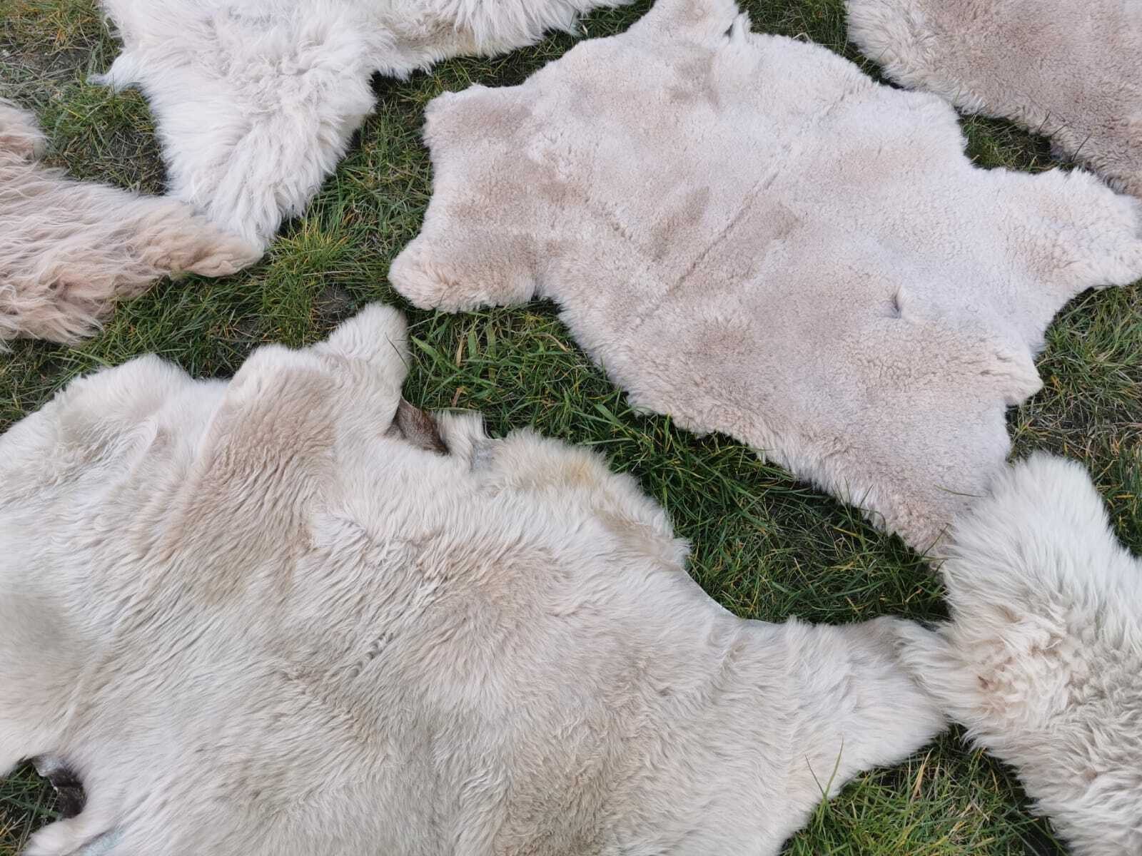 Provellus Fellteppich Schaffell Lammfell Hellbraun Unikat Weich Bis 140 cm, 30x30cm eckig