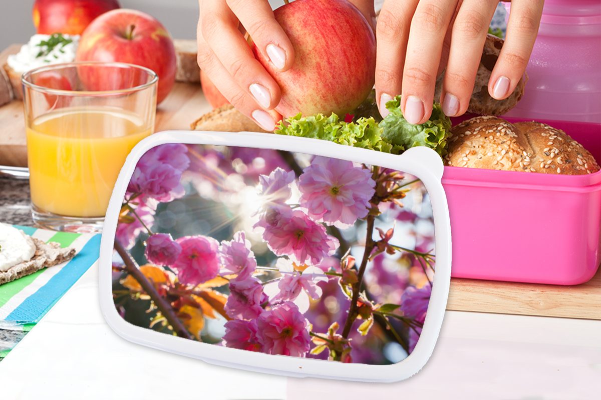für Mädchen, MuchoWow Frühling, Brotbox - - Brotdose Erwachsene, rosa Sakura Lunchbox Kunststoff, Snackbox, Kinder, Kunststoff (2-tlg), Sonne