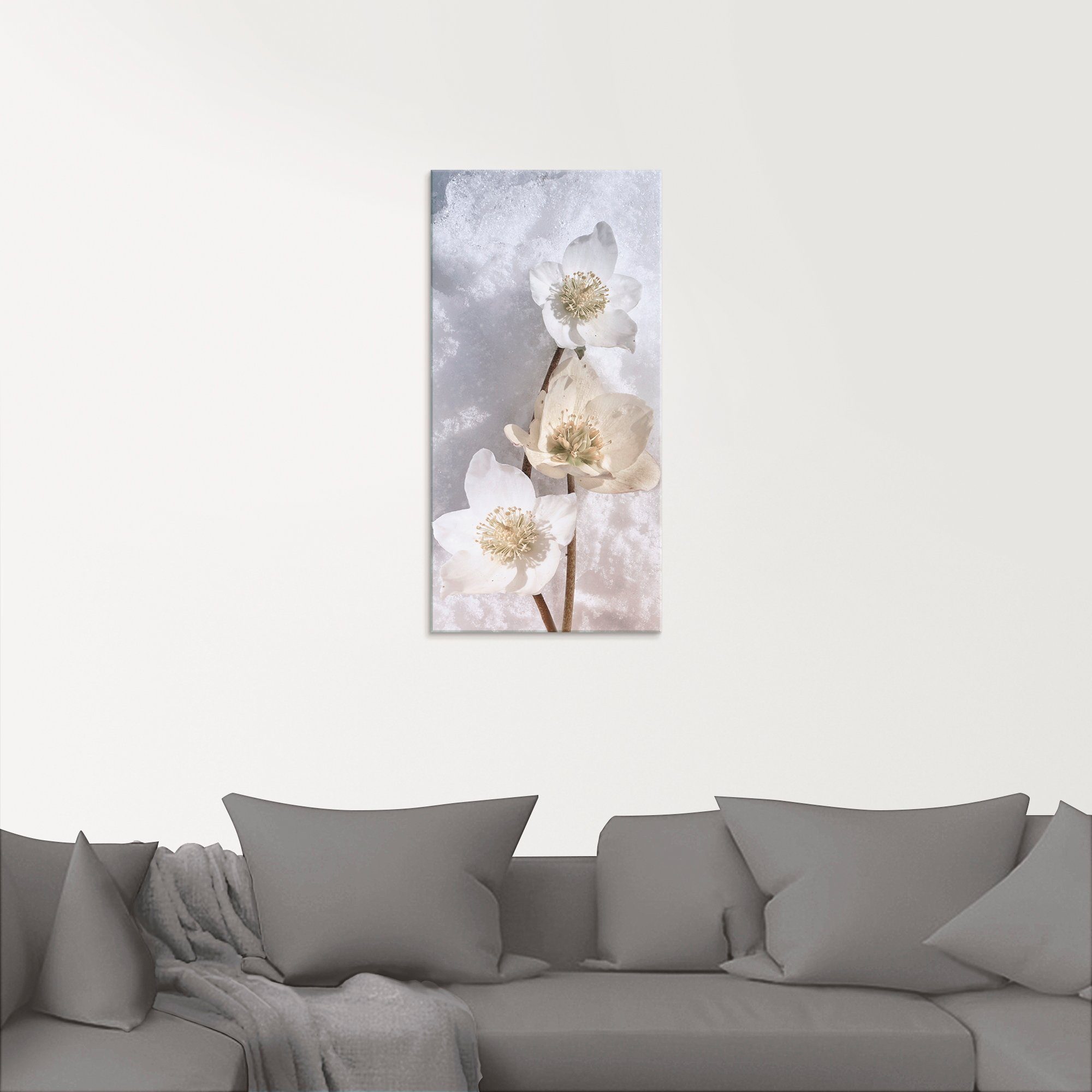 Artland Glasbild »Christrose im Schnee«, Blumen (1 Stück)-HomeTrends