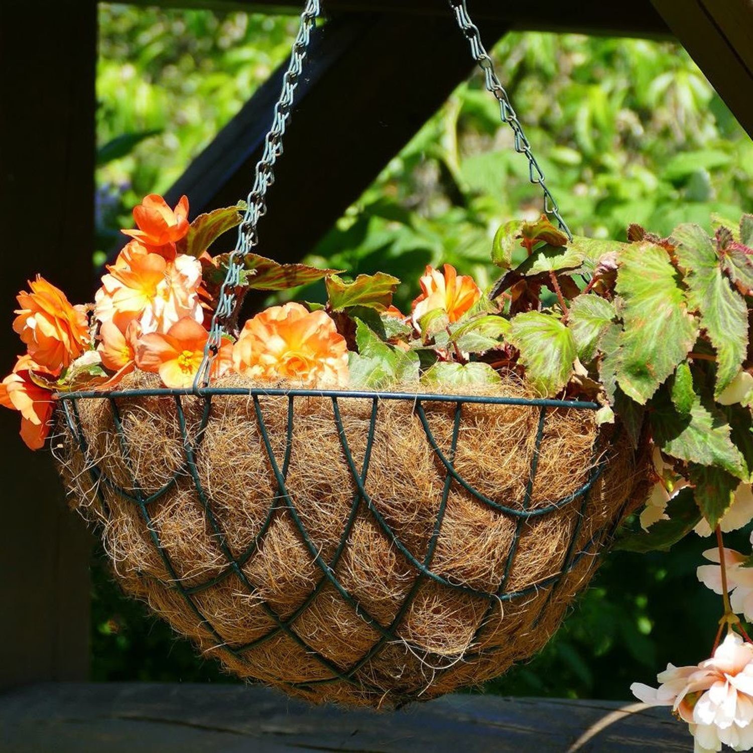 BURI Pflanzkübel Pflanzeinlage für Pflanzkörbe und Blumenampeln 40cm Kokos-Einleger Kok | Pflanzkübel