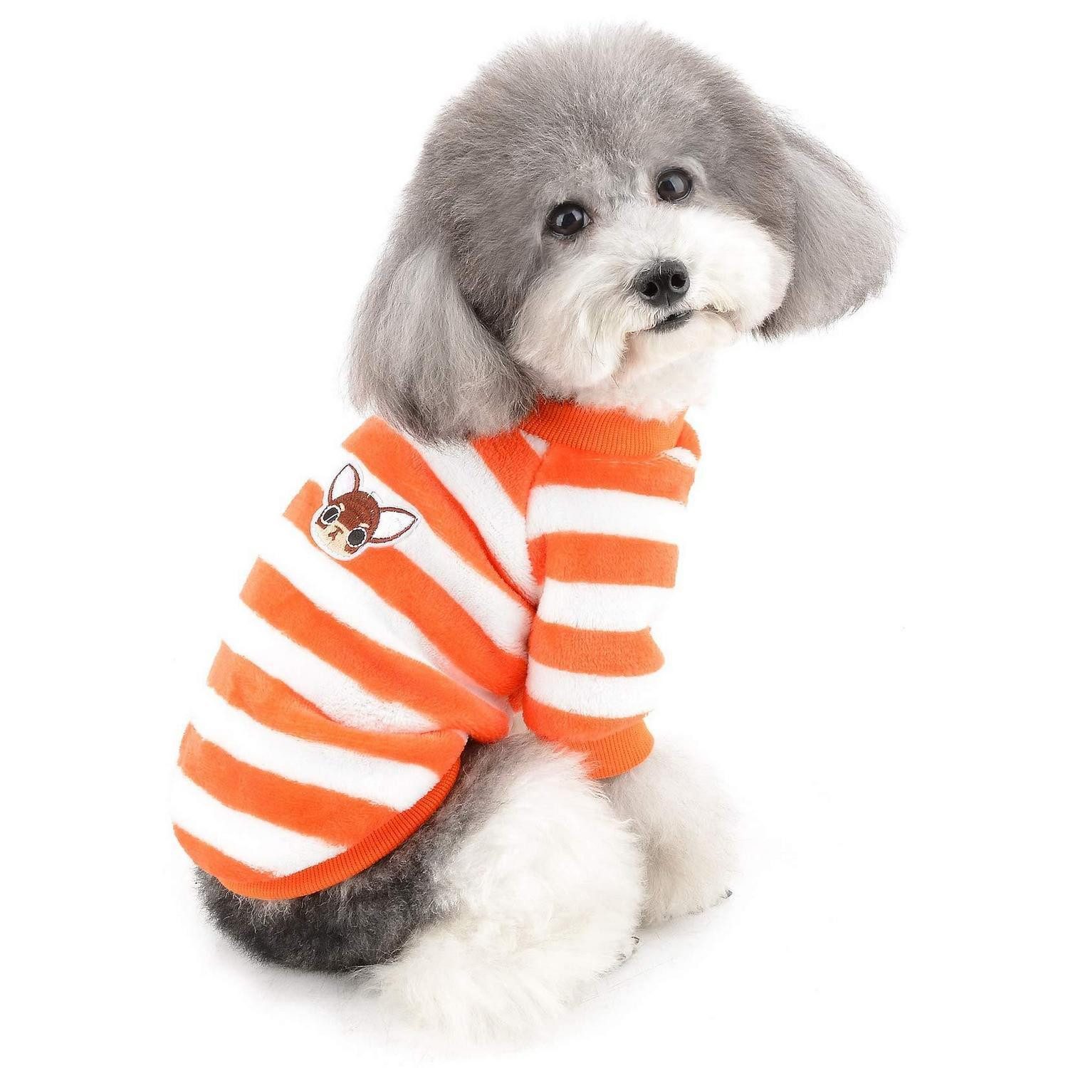 LuxusKollektion Hundepullover Pullover Hund warm Winter Samt Orange L