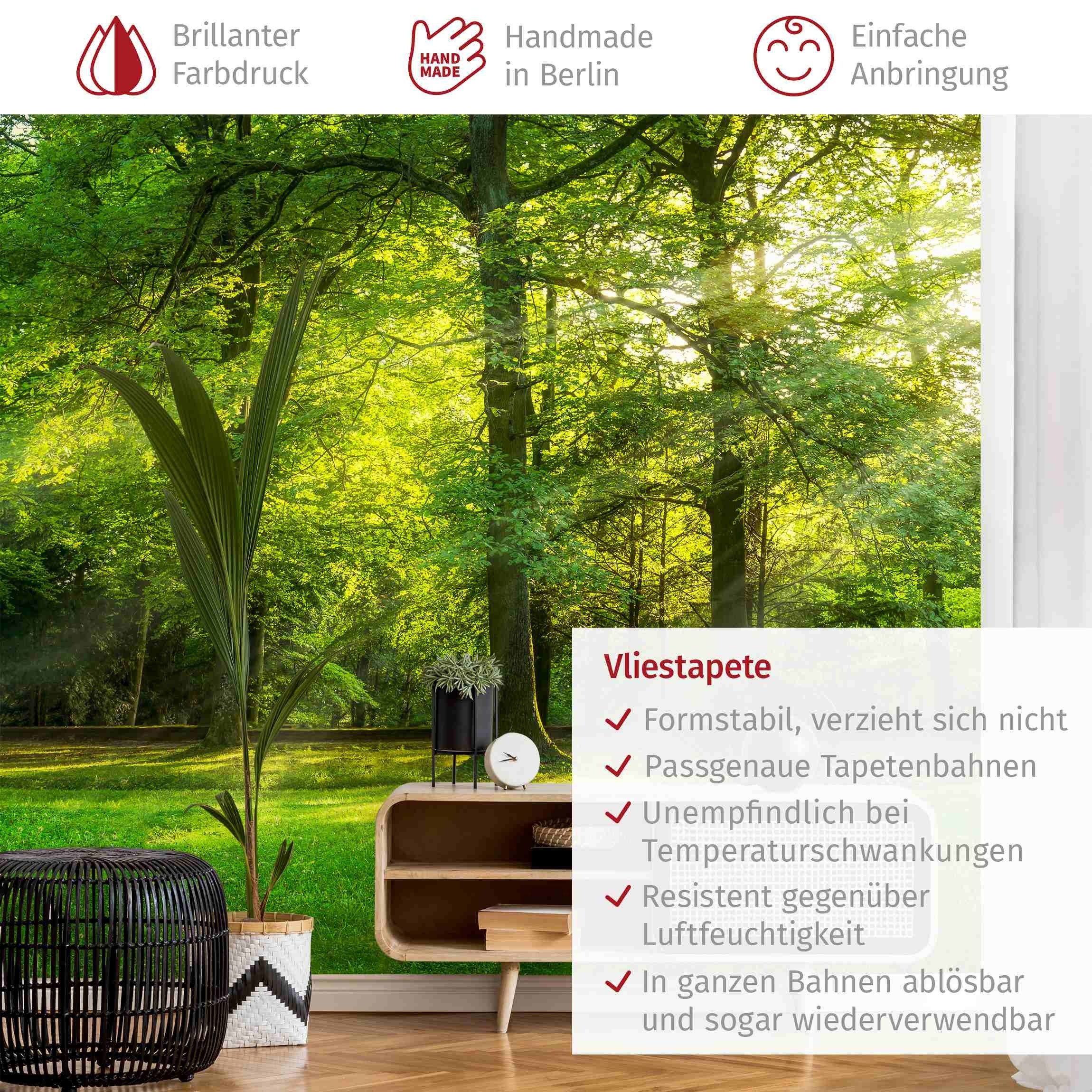 Bilderdepot24 Fototapete Wald Spaziergang Wald Natur Landschaft Waldtapete Bäume, Glatt, Matt, (Vliestapete inkl. Kleister oder selbstklebend), Wohnzimmer Schlafzimmer Küche Flur Motivtapete Vliestapete Wandtapete