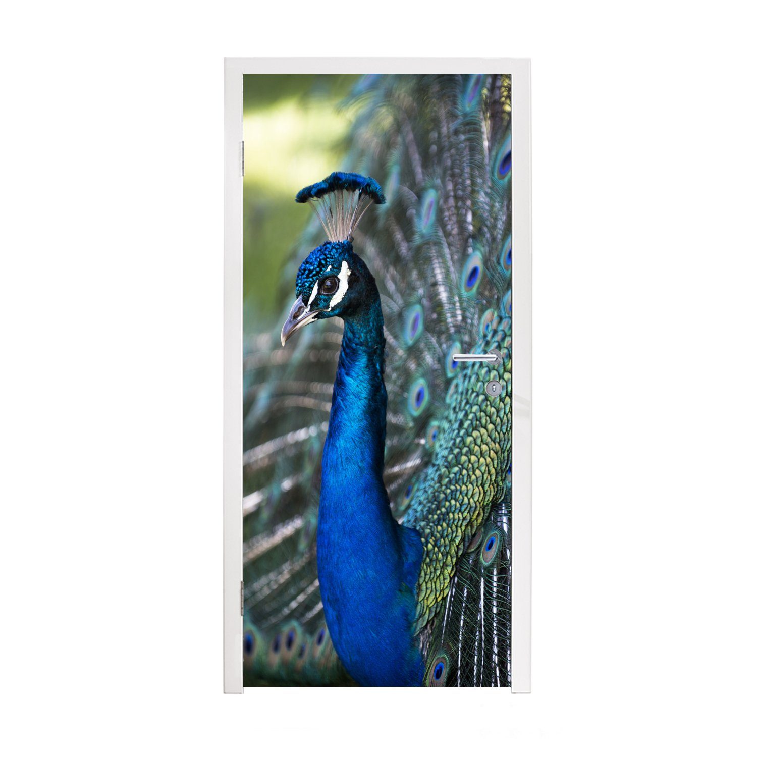 MuchoWow Türtapete Pfau - Vögel - Blau, Matt, bedruckt, (1 St), Fototapete für Tür, Türaufkleber, 75x205 cm
