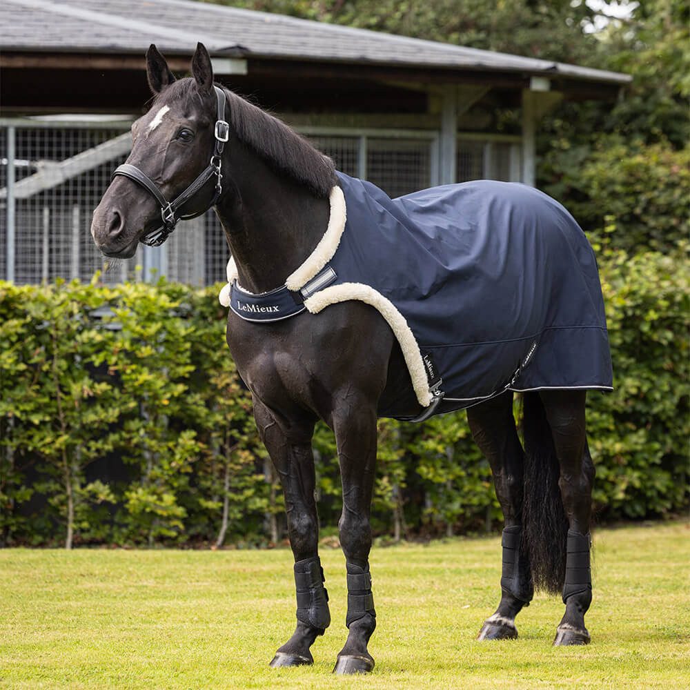 LeMieux Führmaschinendecke LeMieux Walker Rug