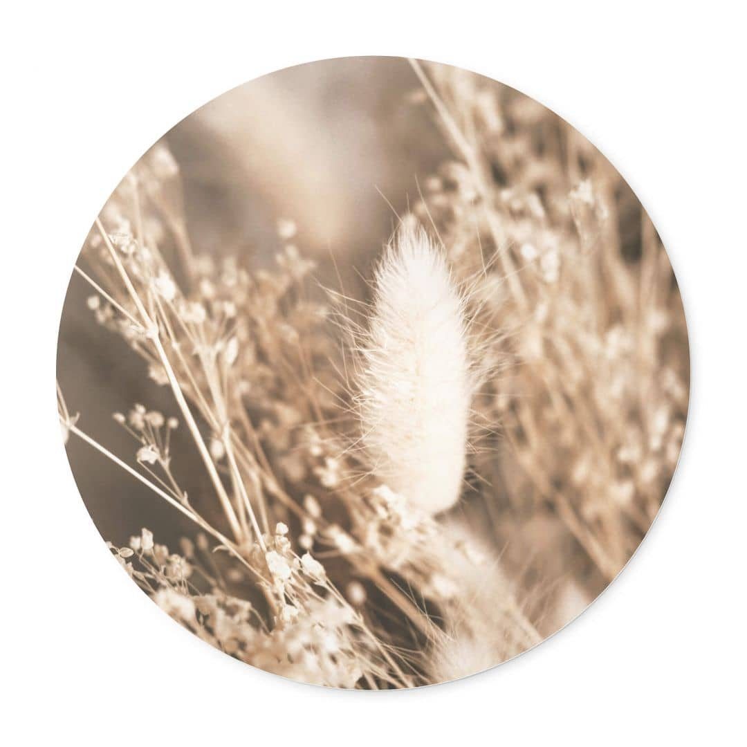 K&L Wall Art Poster Wandbild Poster Rund Fotografie Annie Gräserbund Landhaus Deko Blume, Wohnzimmer Kunstdruck floral
