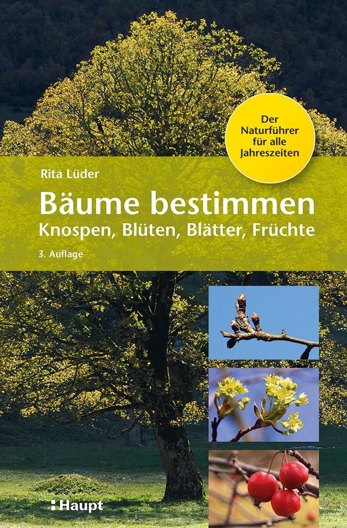 Bäume bestimmen - Knospen, Blüten, Blätter, Früchte / Rita Lüder, Der Naturführer für alle Jahreszeiten