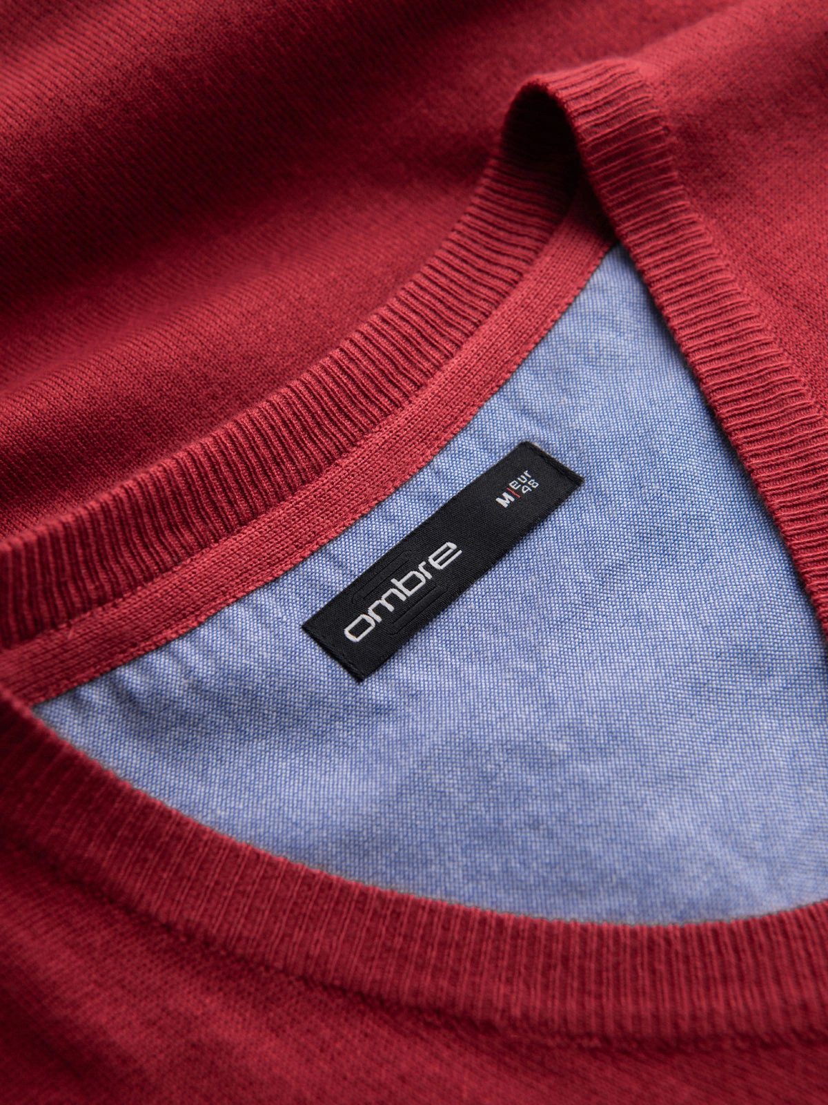 V-Ausschnitt-Pullover Eleganter Herrenpullover mit V-Ausschnitt