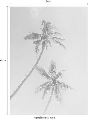 Komar Poster Miami Palms, Blätter, Pflanzen (1 St), Kinderzimmer, Schlafzimmer, Wohnzimmer