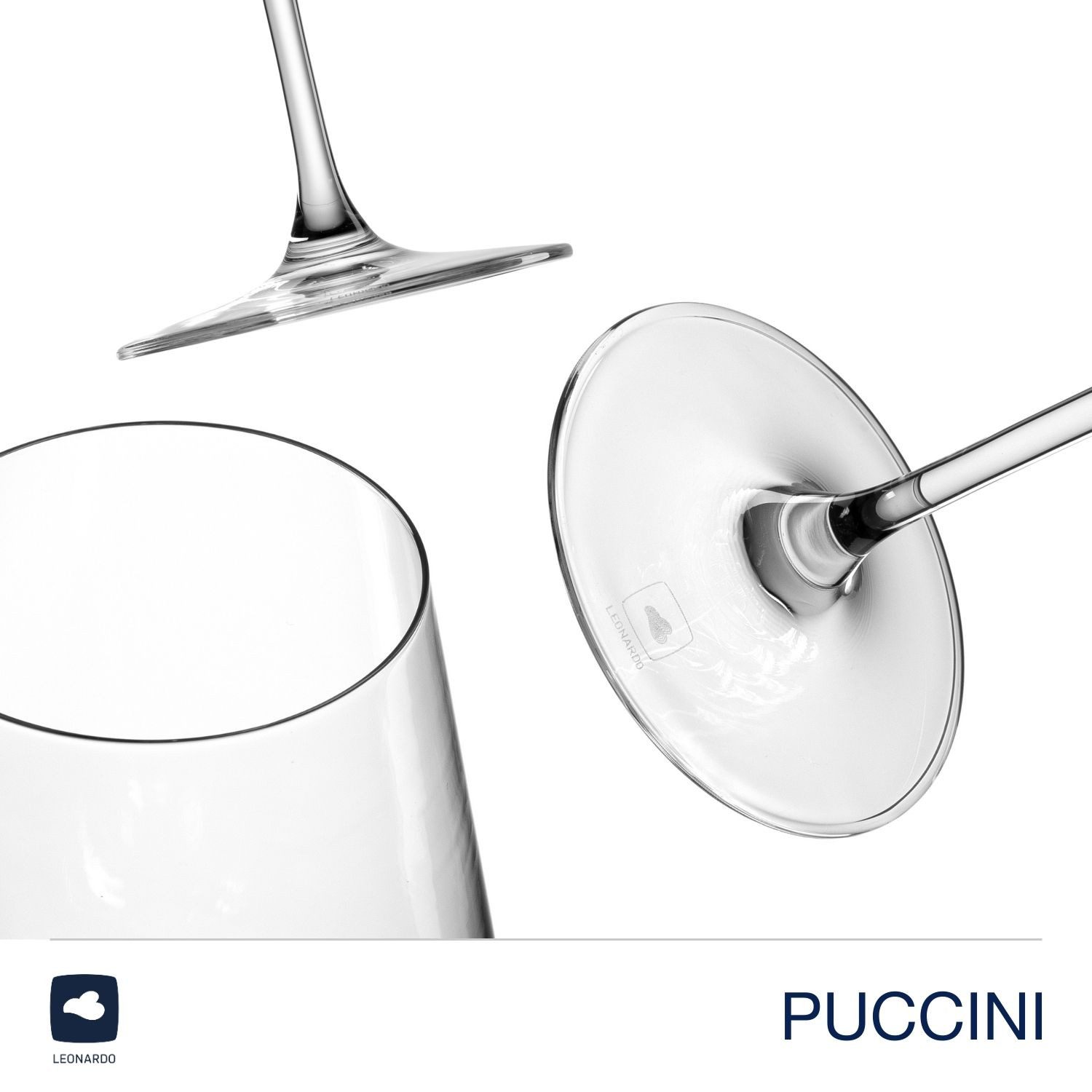 LEONARDO Weißweinglas PUCCINI (6er Set) inkl. Poliertuch, Kratzfeste Weingläser 560 ml, langlebig und zeitlos – Bild 5 von 5