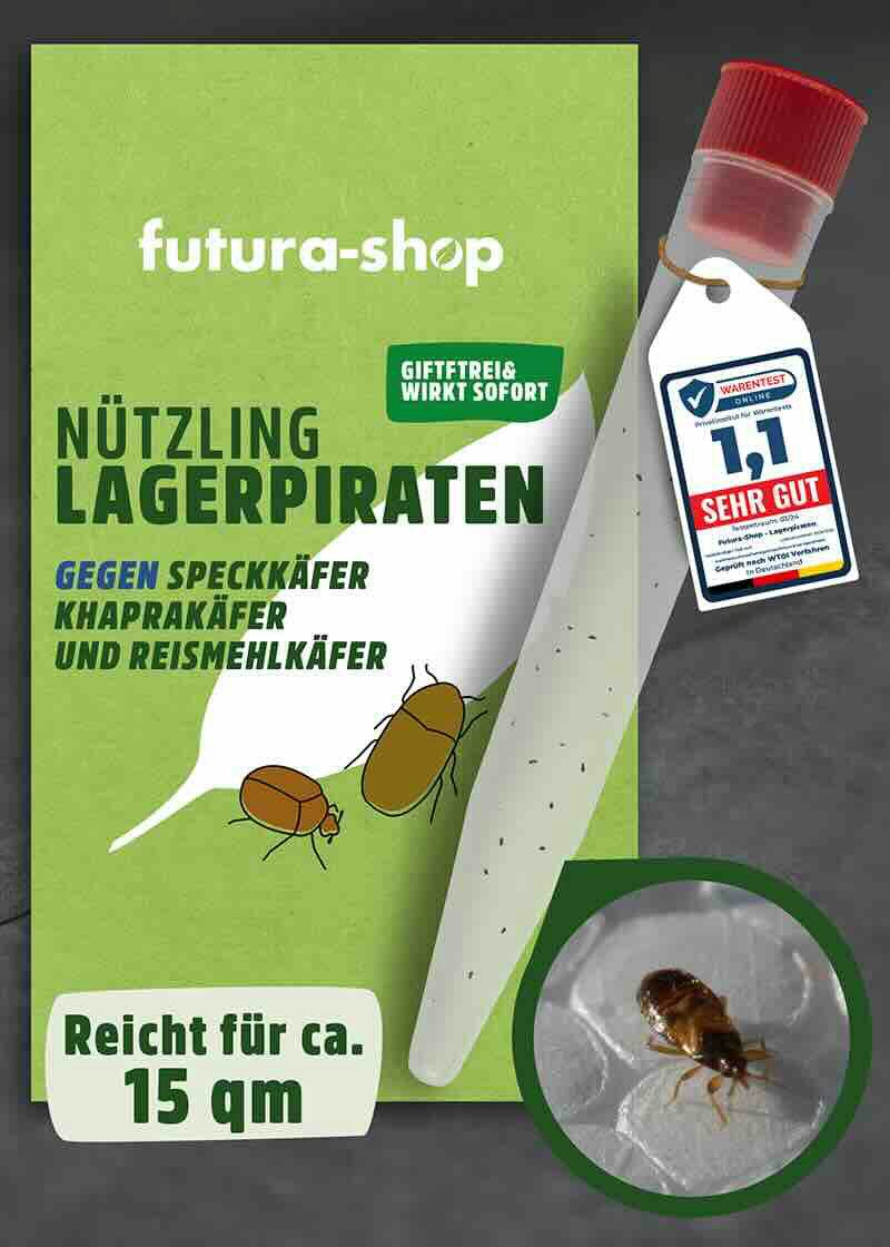 Insektenvernichter Nützling Lagerpiraten gegen Speckkäfer, Khaprakäfer und Reismehlkäfer