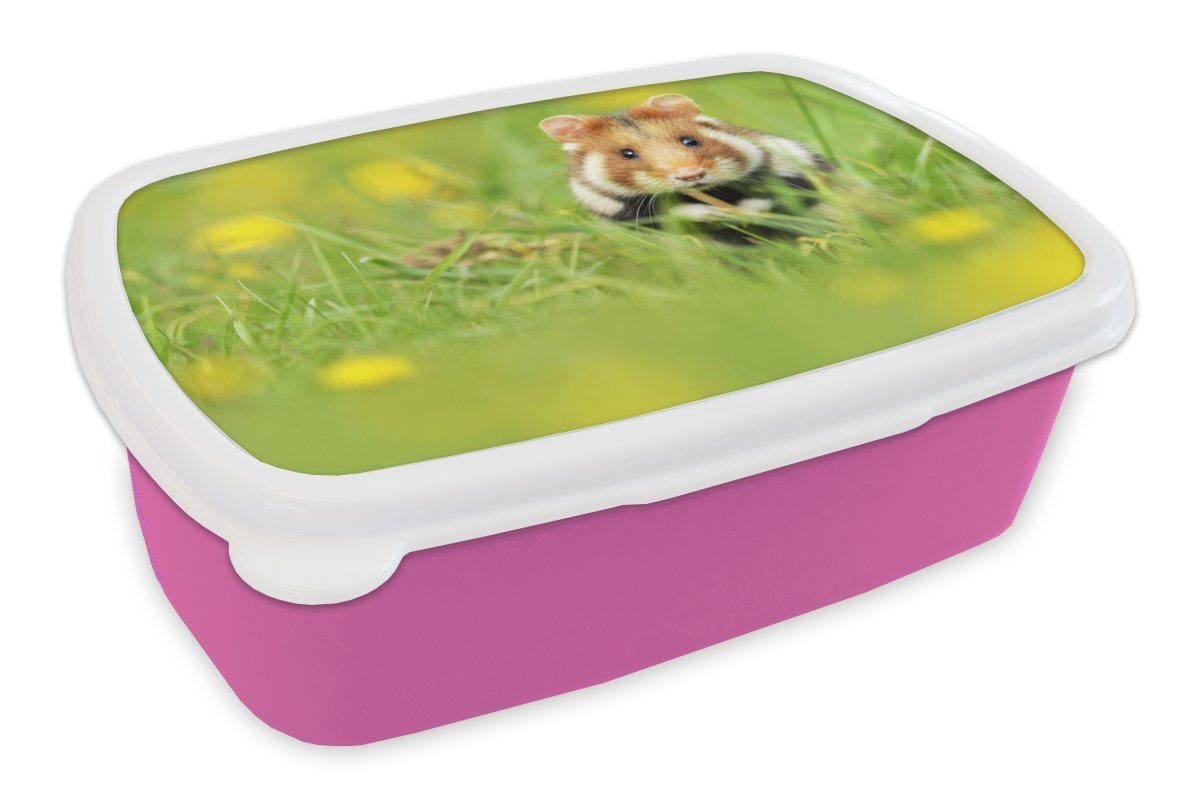 MuchoWow Lunchbox Europäischer Hamster im Gras, Kunststoff, (2-tlg), Brotbox für Erwachsene, Brotdose Kinder, Snackbox, Mädchen, Kunststoff rosa
