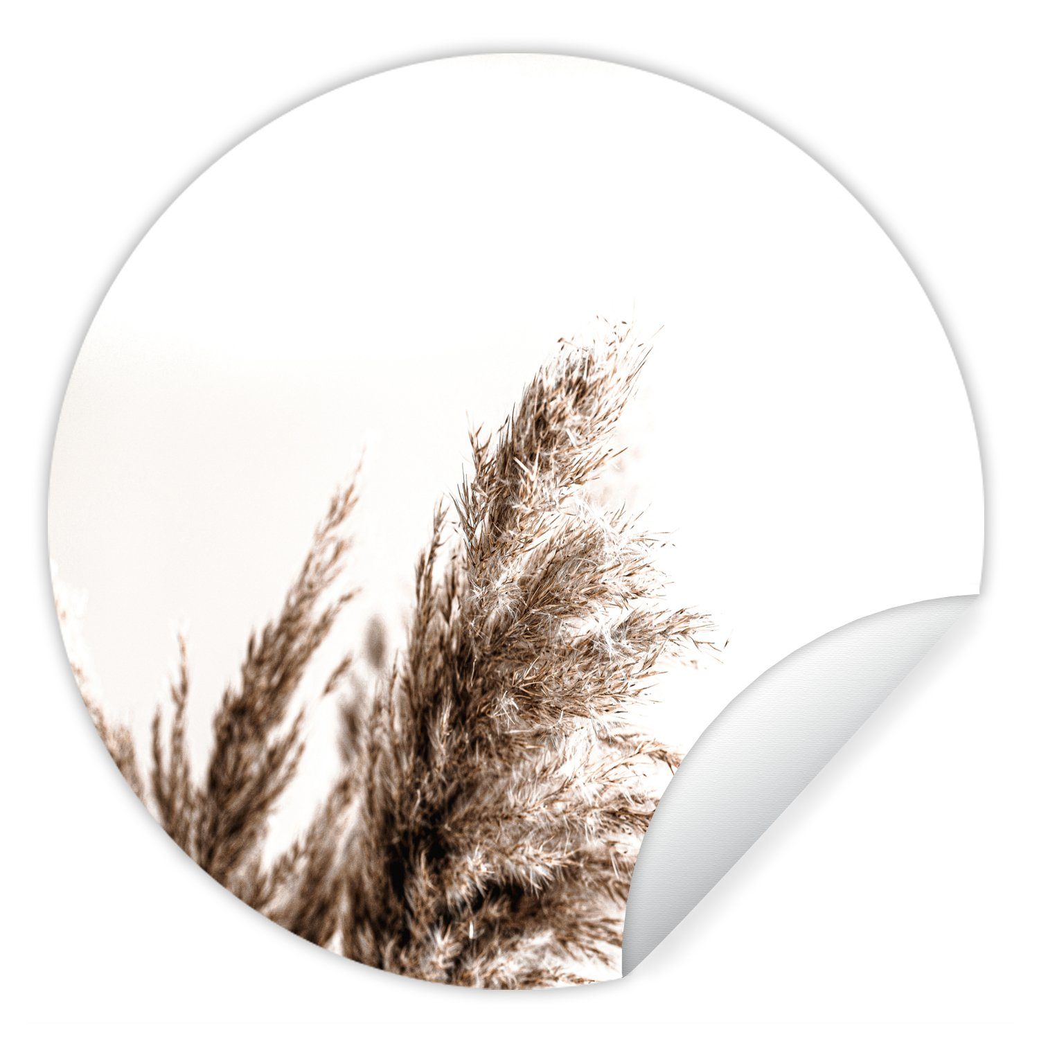 Pampas-Federn Natur - Tapetenkreis Wohnzimmer MuchoWow Rund, Wandsticker (1 - Tapetenaufkleber, Pampasgräser St), Kinderzimmer, für