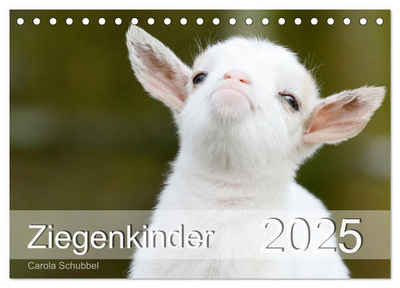CALVENDO Wandkalender Ziegenkinder (Tischkalender 2025 DIN A5 quer), CALVENDO Monatskalender