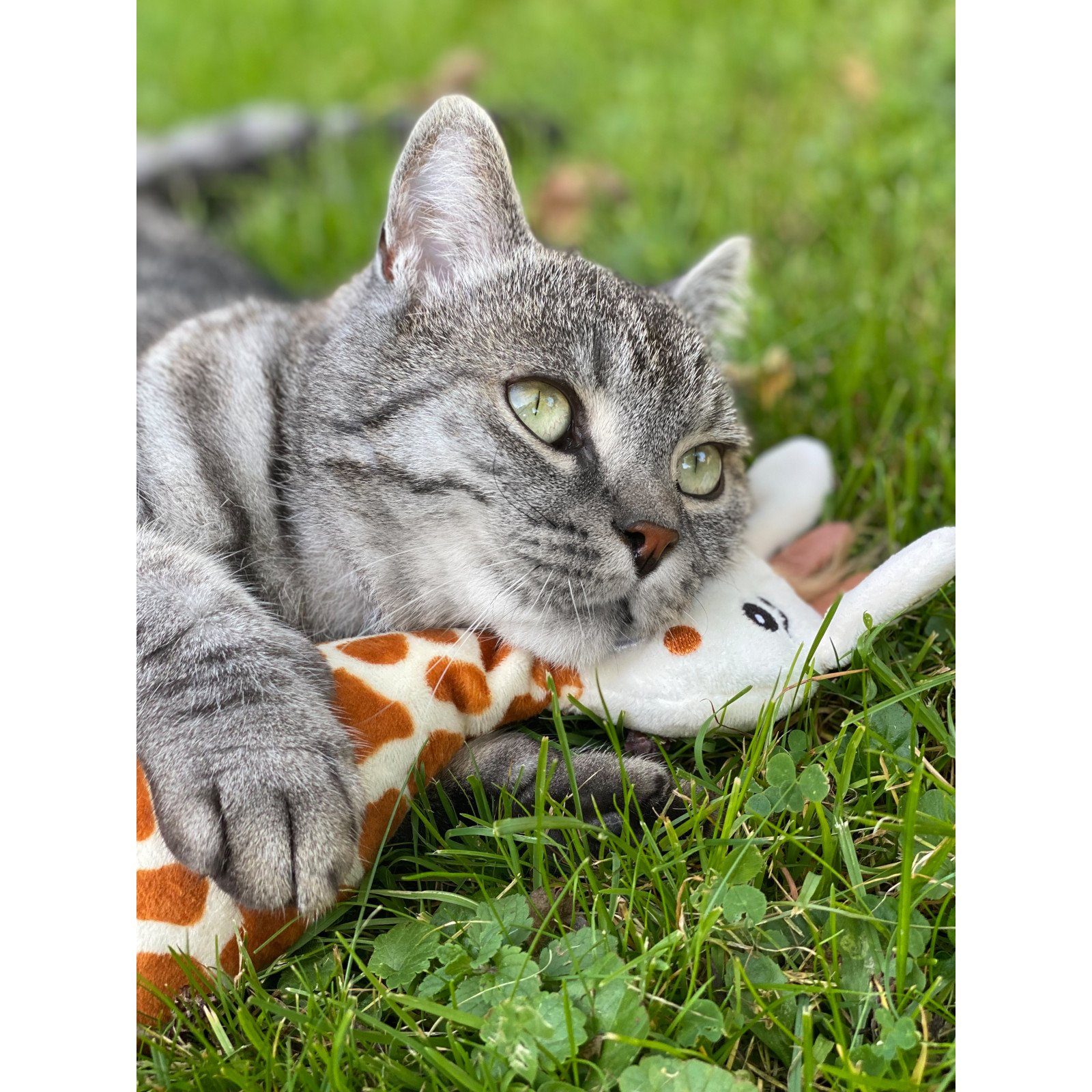 Aumüller Tierkuscheltier Katzenspielkissen Giraffe Gina, 3er Set, Spielzeug für Katzen mit B..., 100% Polyester (Plüsch)