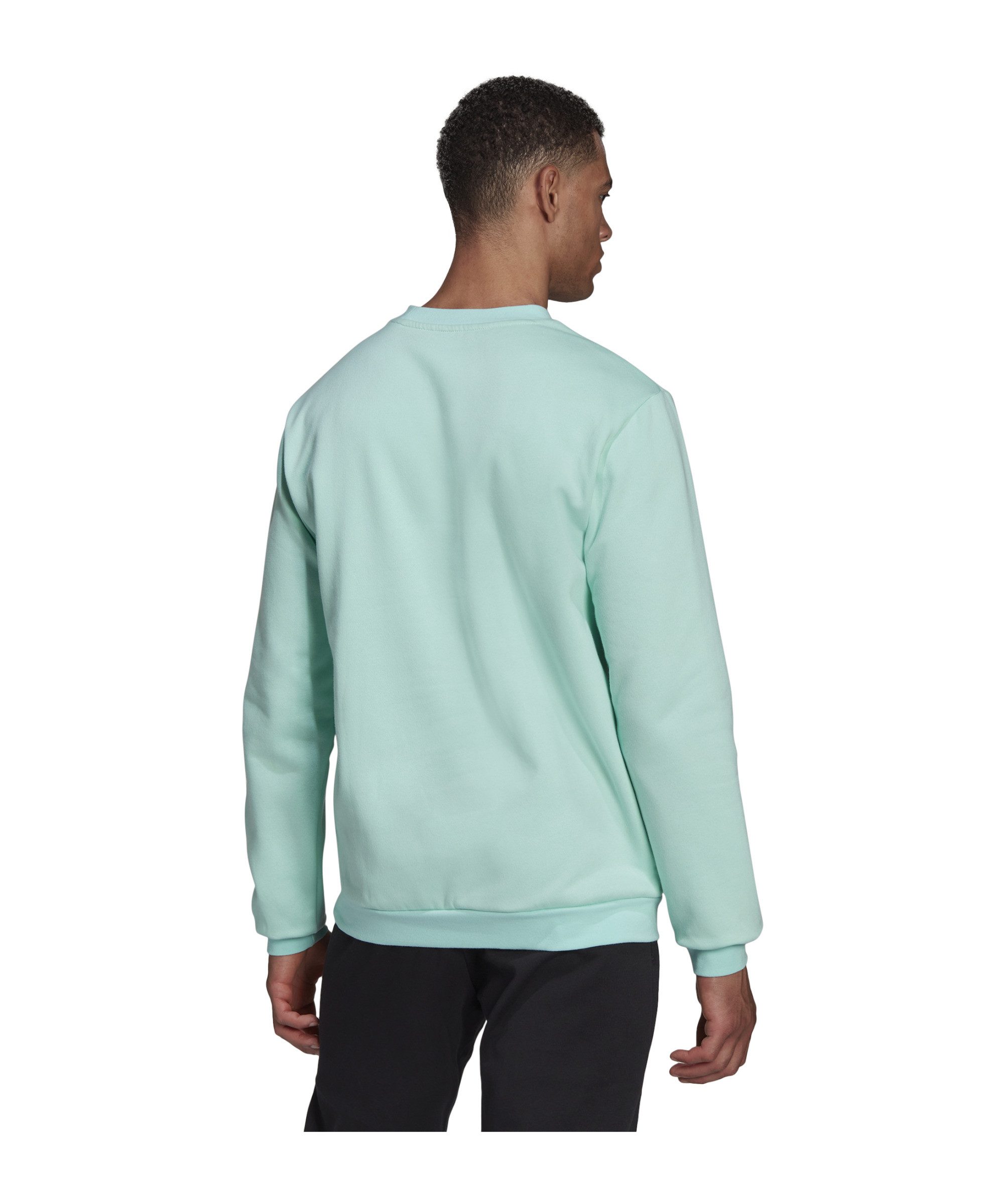 adidas Performance Sweatshirt adidas Performance Entrada 22 Sweatshirt Herr günstig online kaufen