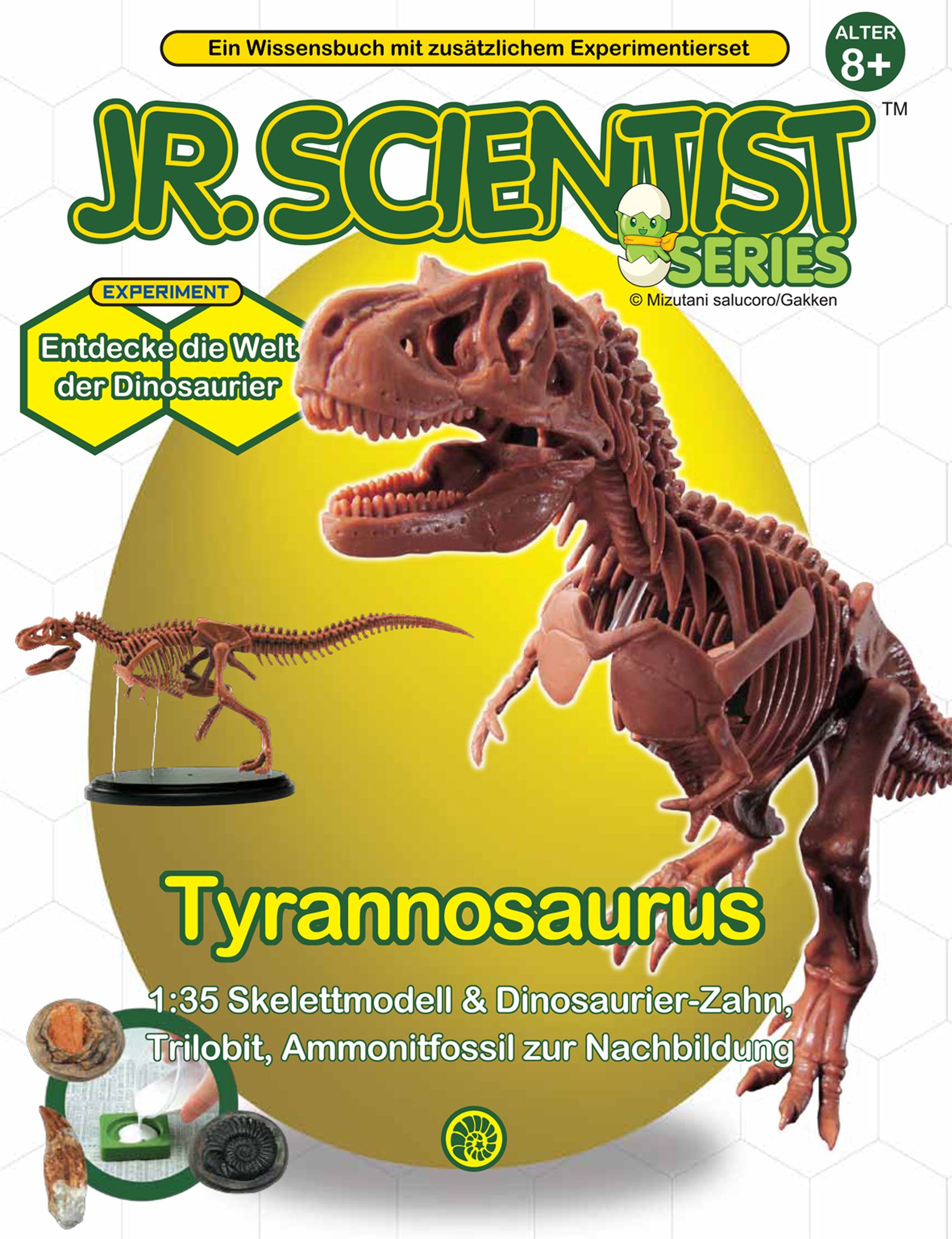 Fossilienset Edu-Toys (1-tlg) Experimentierkasten Tyrannosaurus Rex, GK008 T-Rex