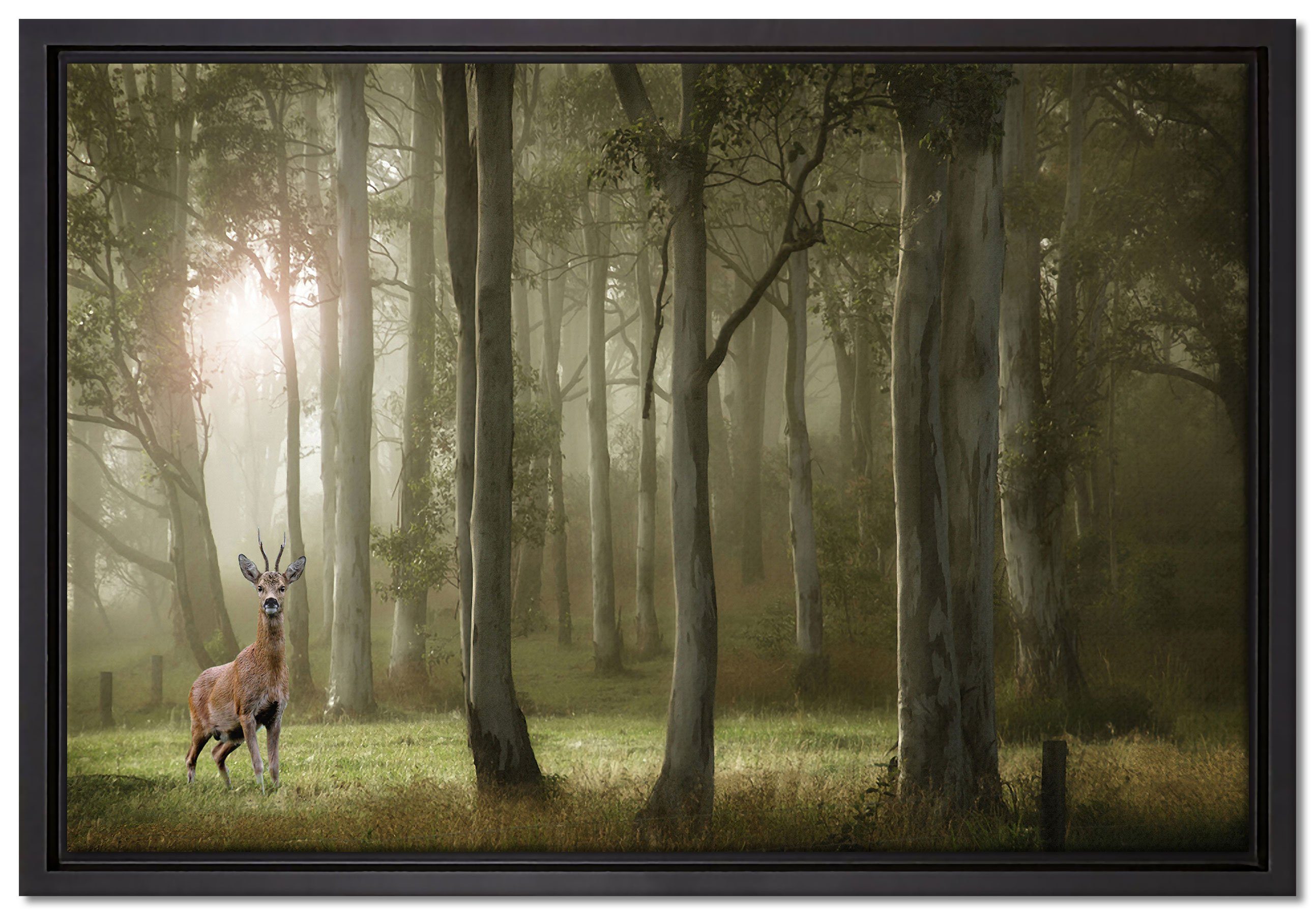 Pixxprint Leinwandbild Hirsch im Wald, Wanddekoration (1 St), Leinwandbild fertig bespannt, in einem Schattenfugen-Bilderrahmen gefasst, inkl. Zackenaufhänger