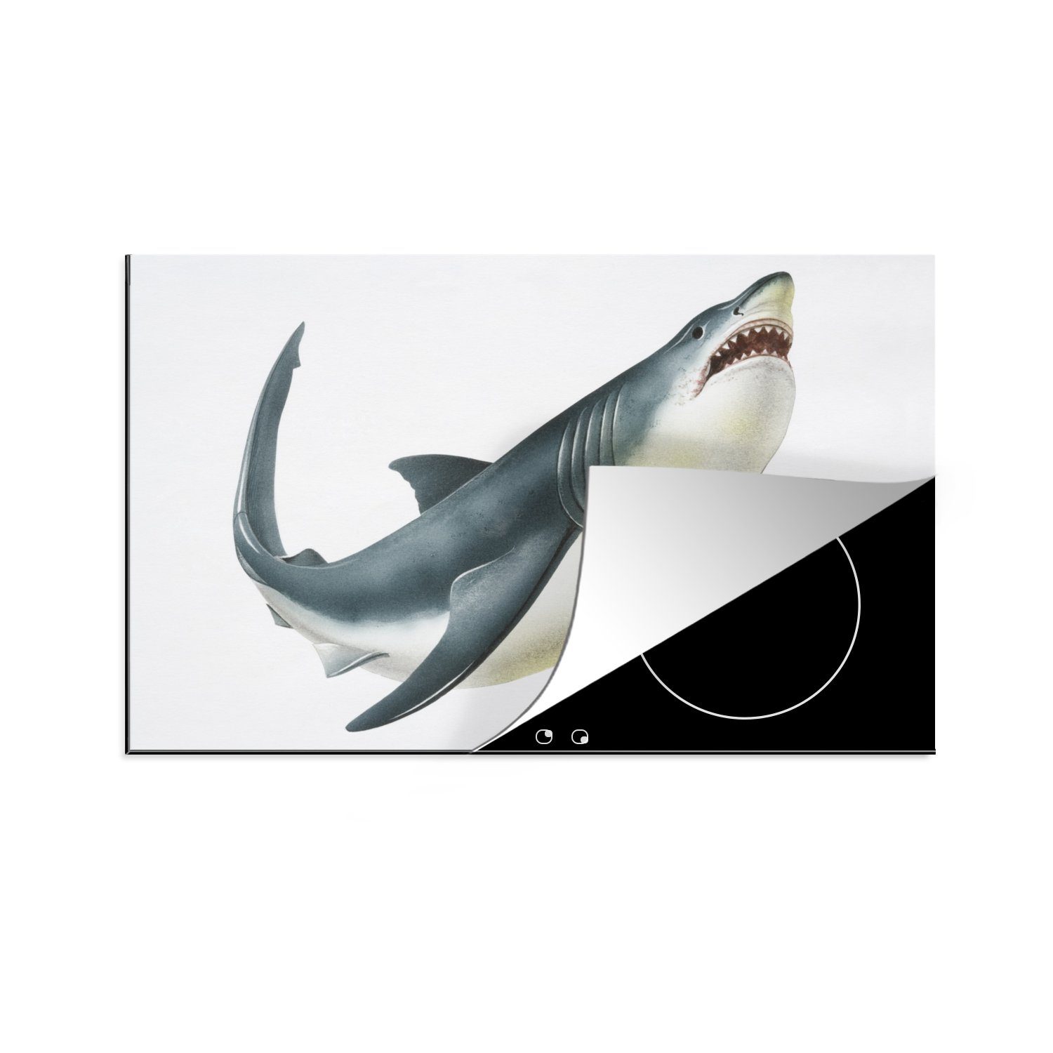 MuchoWow Herdblende-/Abdeckplatte Illustration - Hai - Weiß, Vinyl, (1 tlg), 81x52 cm, Induktionskochfeld Schutz für die küche, Ceranfeldabdeckung