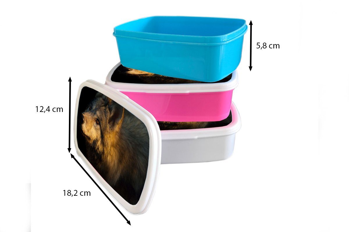 MuchoWow Lunchbox Wolf - Gold Kunststoff, und und (2-tlg), Erwachsene, Jungs Brotbox Sonne, Mädchen für - weiß für Brotdose, Kinder